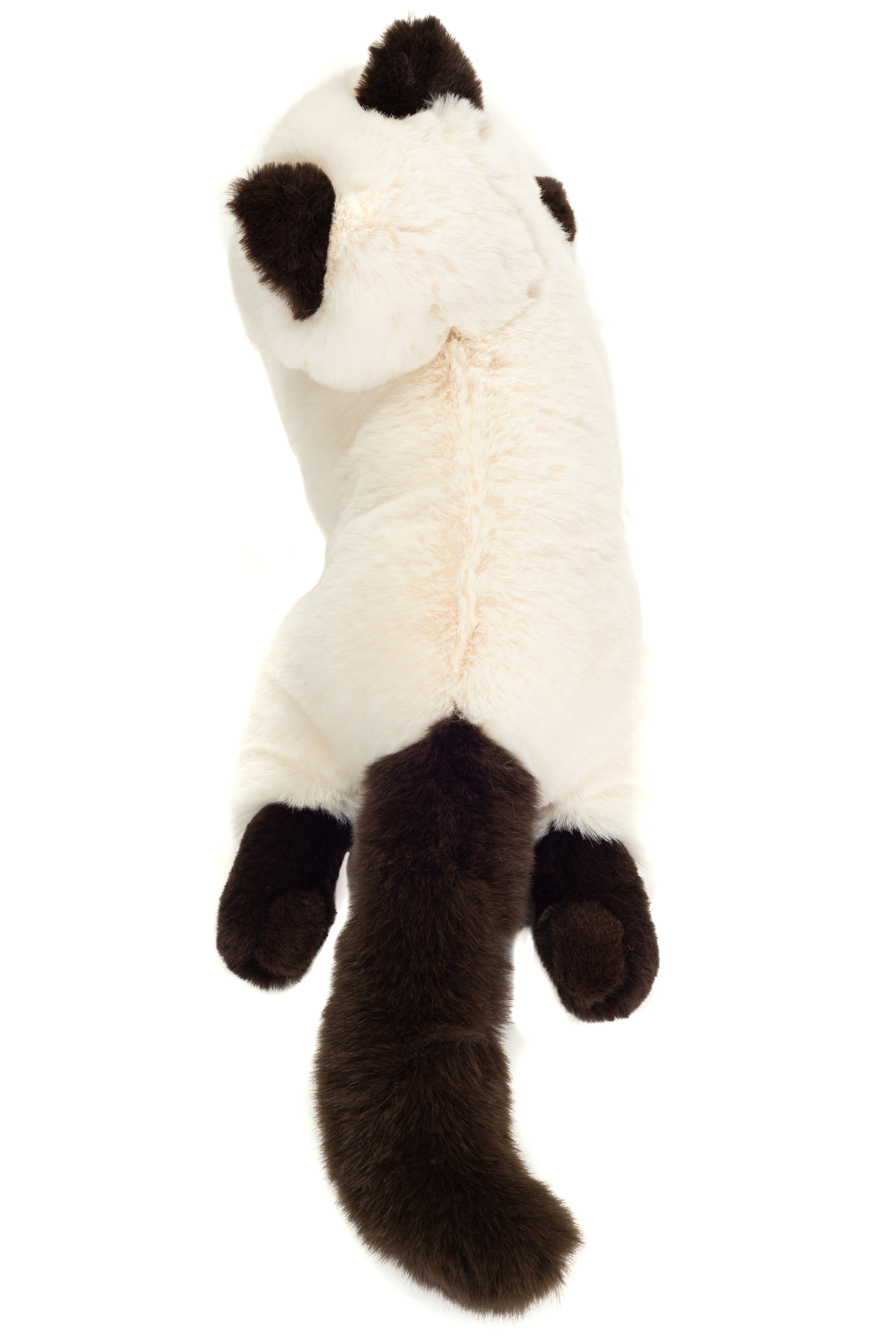 Birma-Katze liegend 36 cm