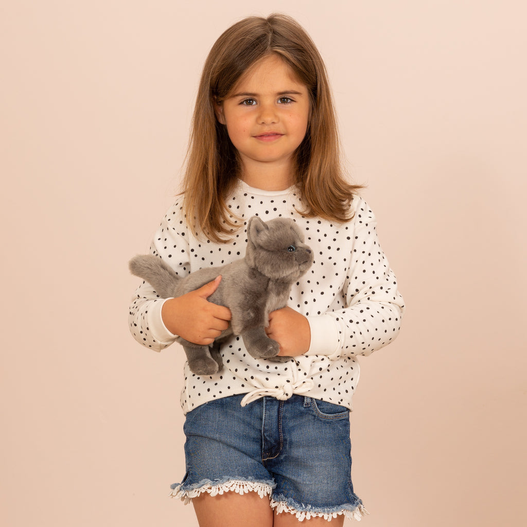 Kartäuserkatze stehend 20 cm