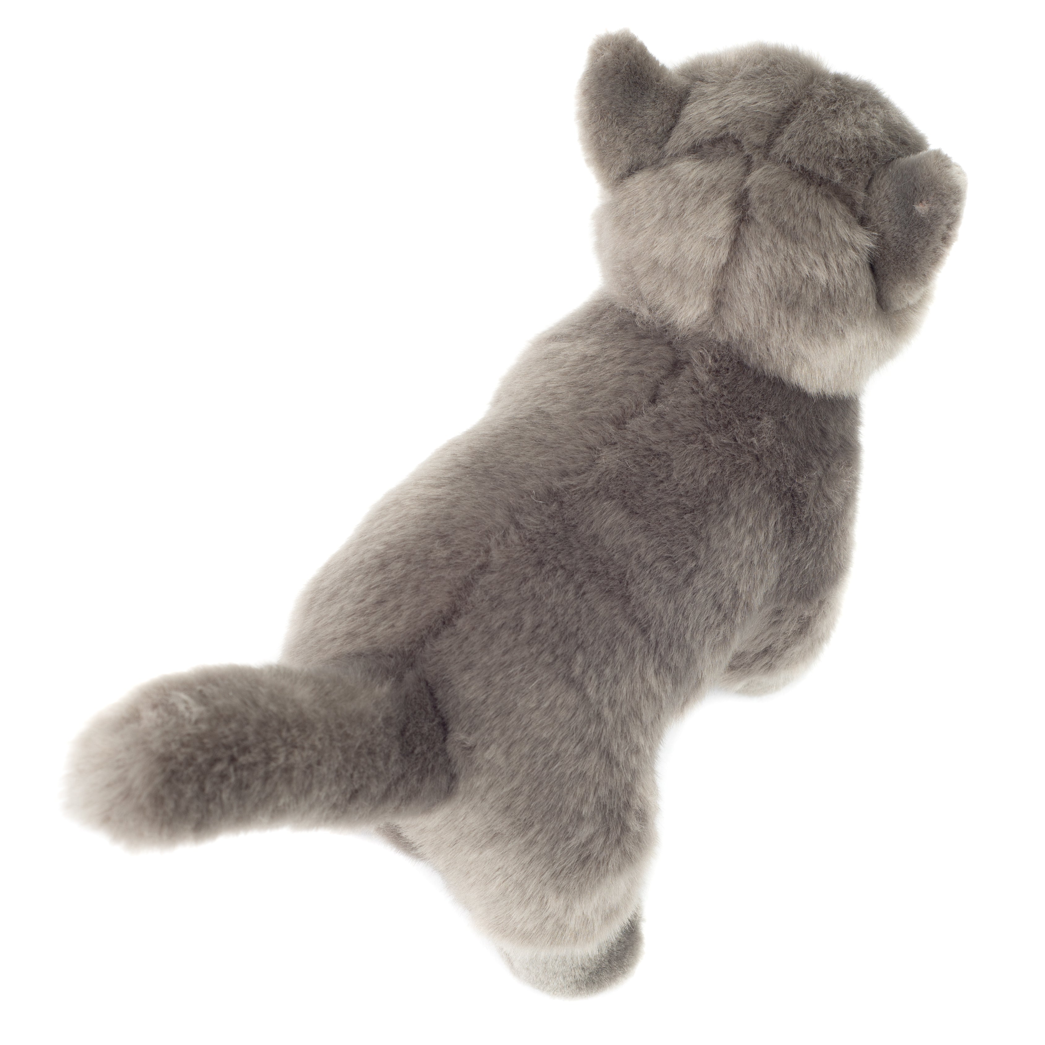 Kartäuserkatze stehend 20 cm