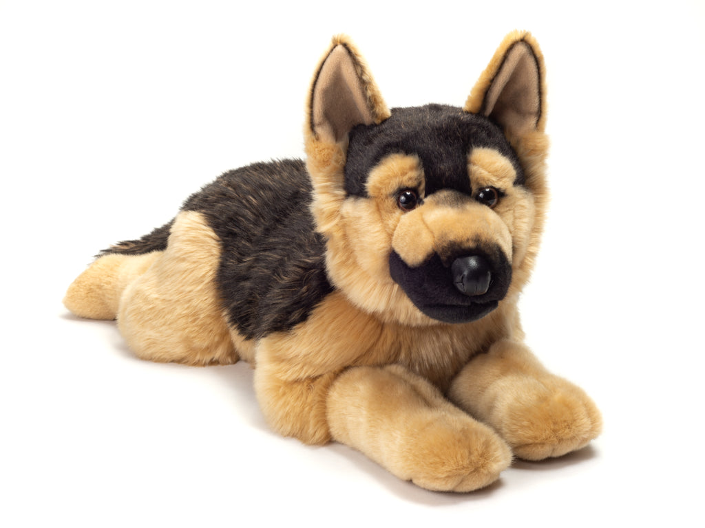 Schäferhund liegend 60 cm