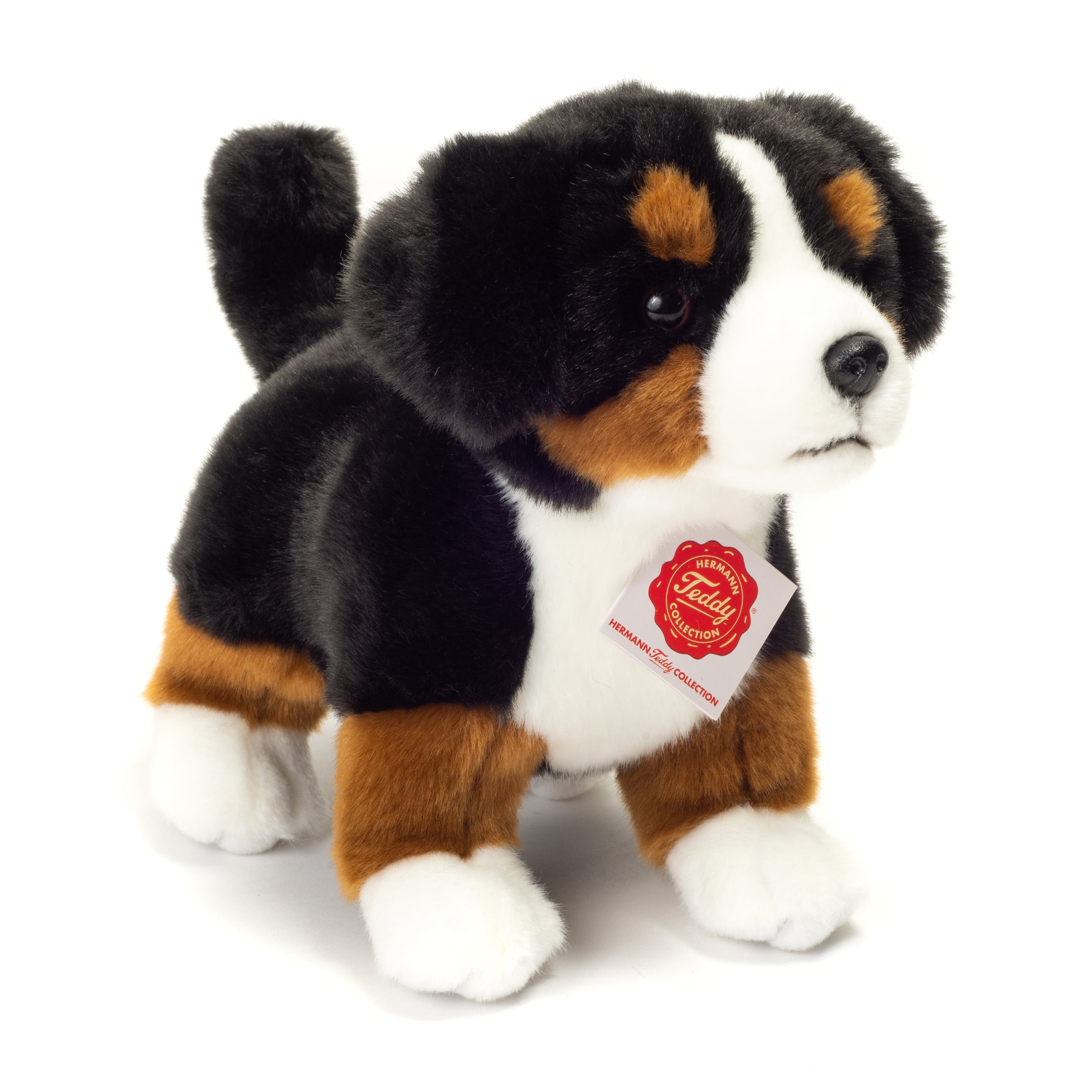 Berner Sennenhund Welpe stehend 23 cm