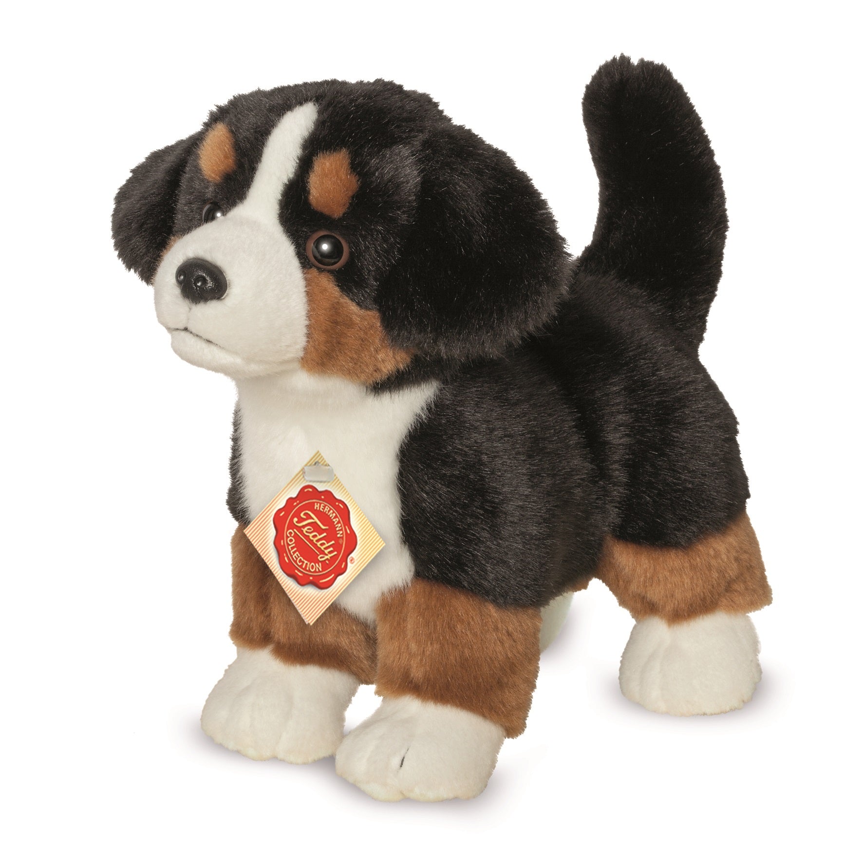 Berner Sennenhund Welpe stehend 23 cm