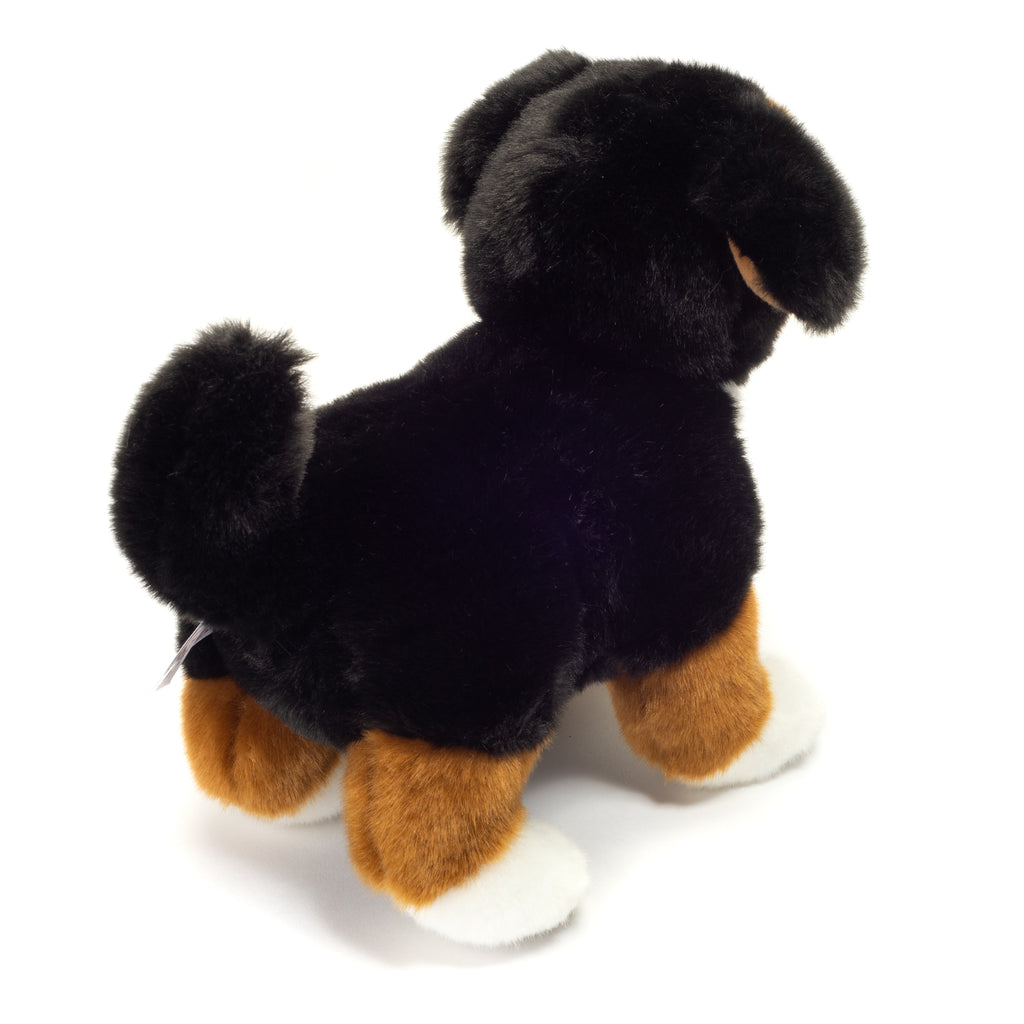 Berner Sennenhund Welpe stehend 23 cm