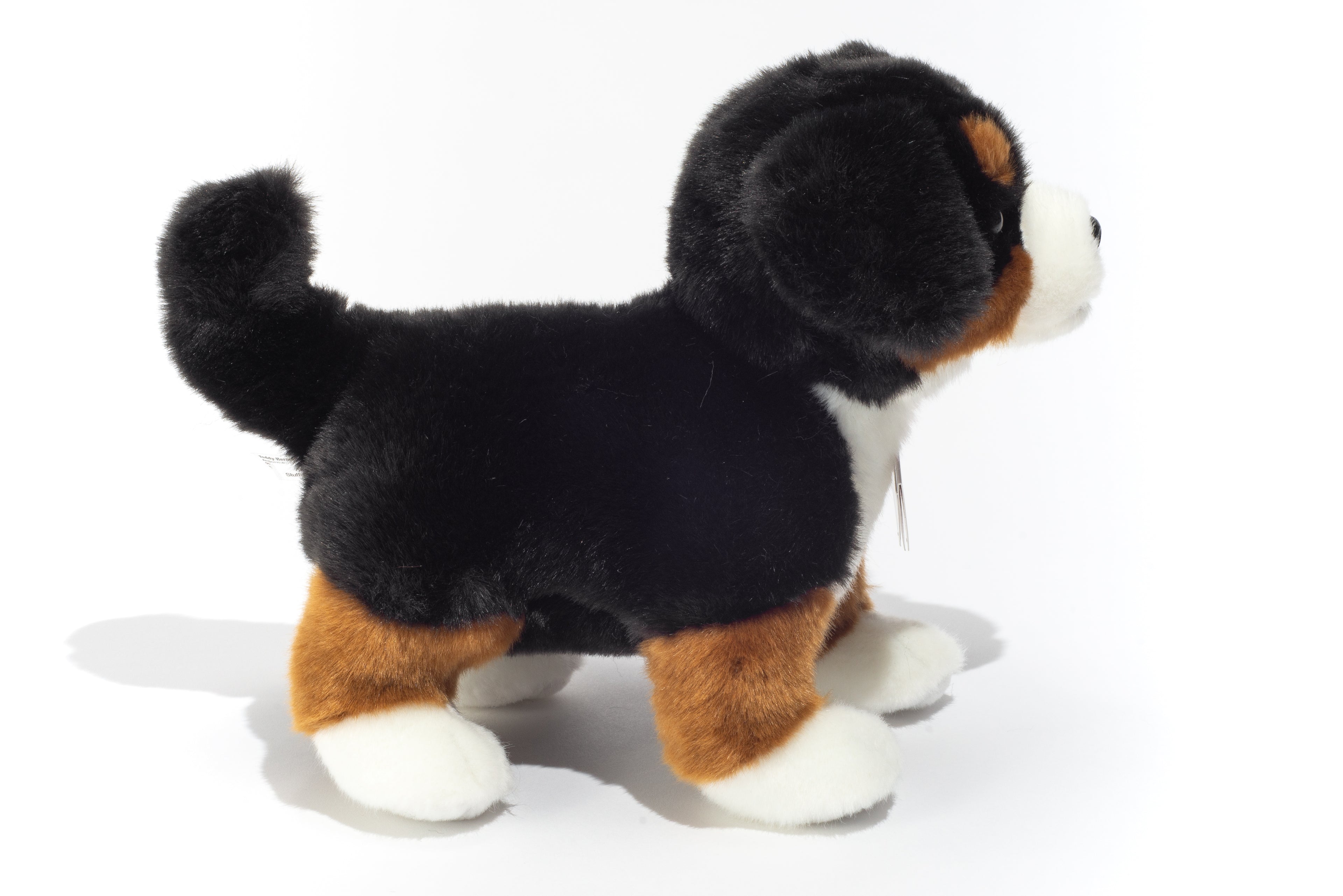 Berner Sennenhund Welpe stehend 23 cm