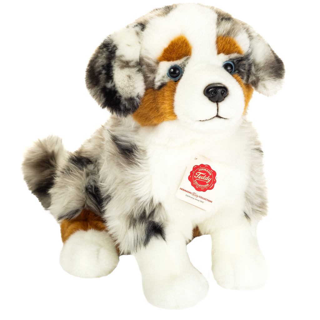 Australian Shepherd 30 cm