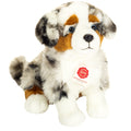 Australian Shepherd 30 cm