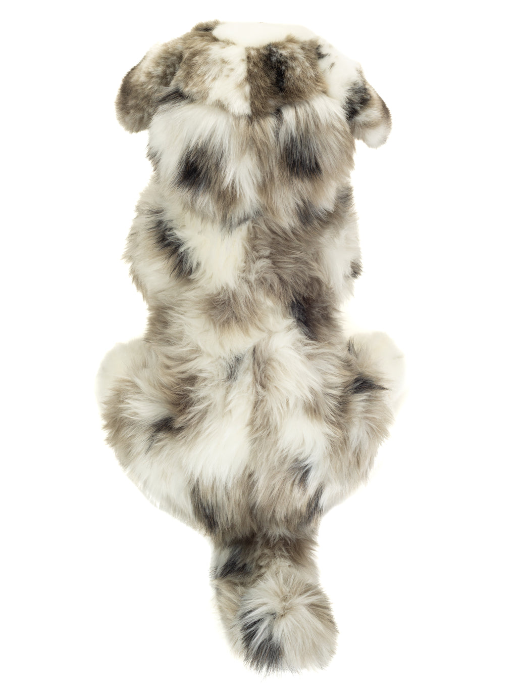 Australian Shepherd 30 cm