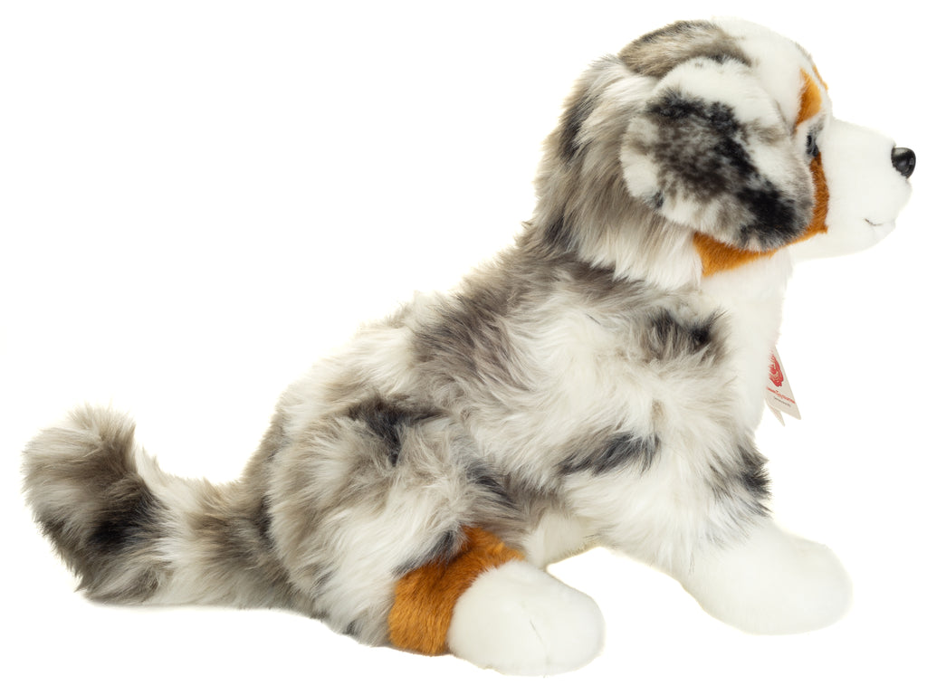 Australian Shepherd 30 cm