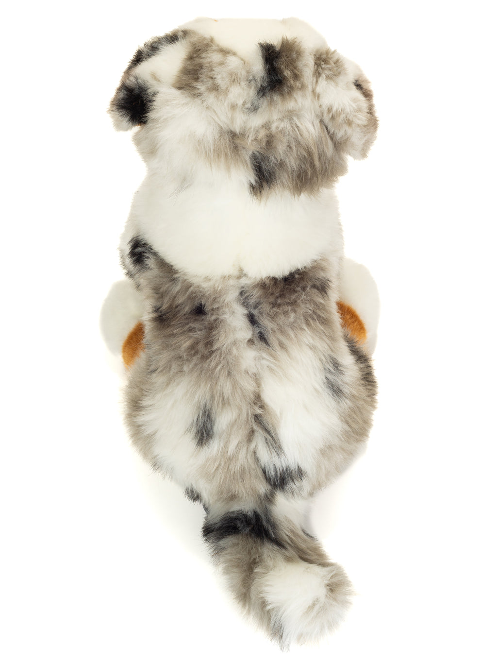 Australian Shepherd Welpe sitzend 22 cm