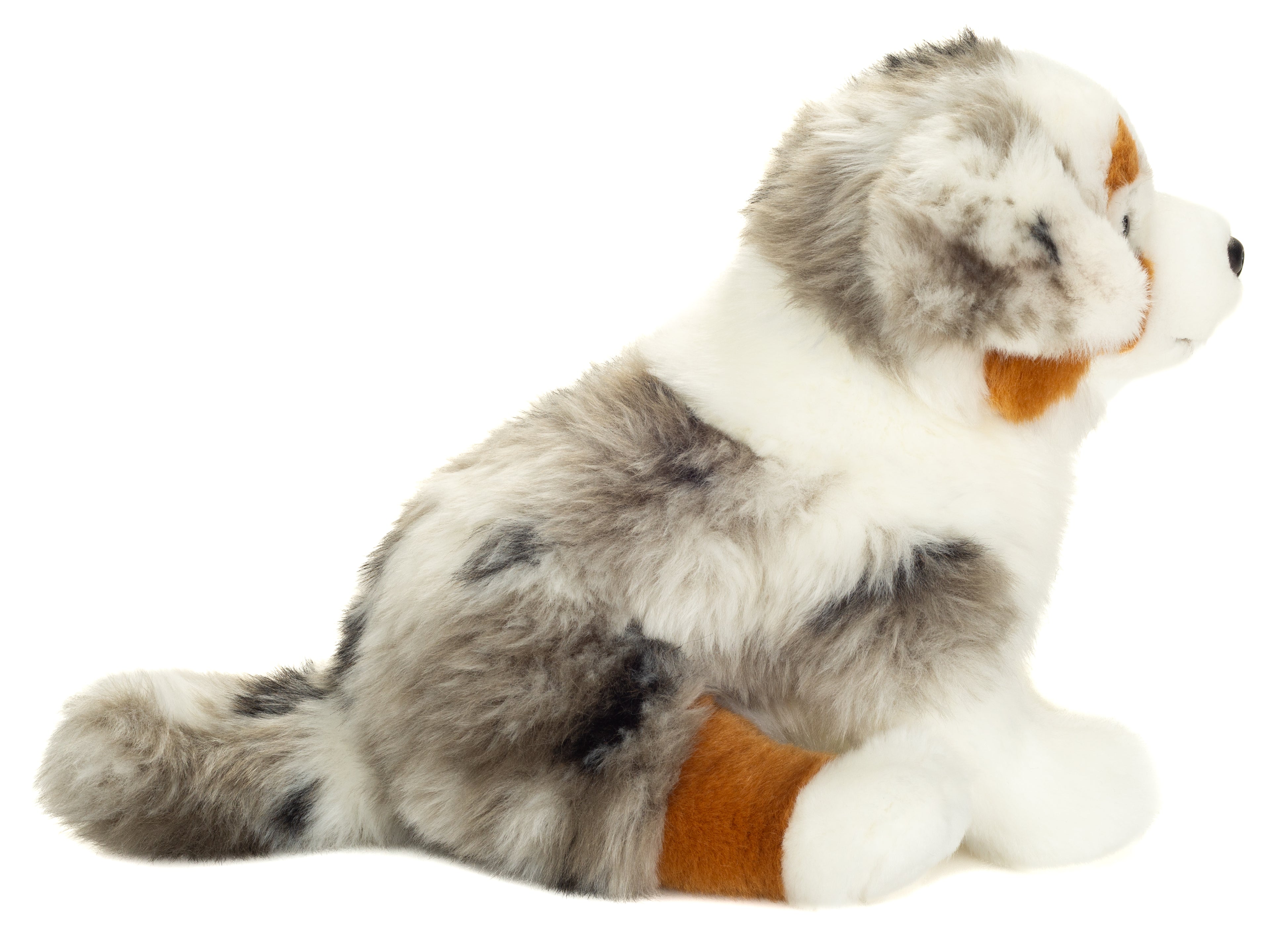 Australian Shepherd Welpe sitzend 22 cm