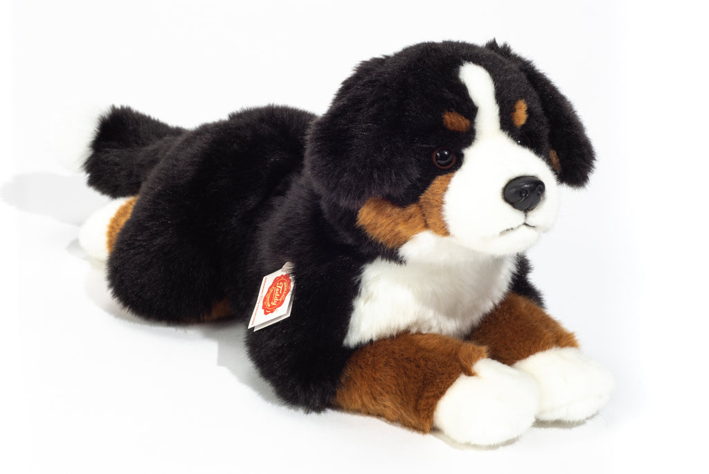 Berner Sennenhund liegend 40 cm