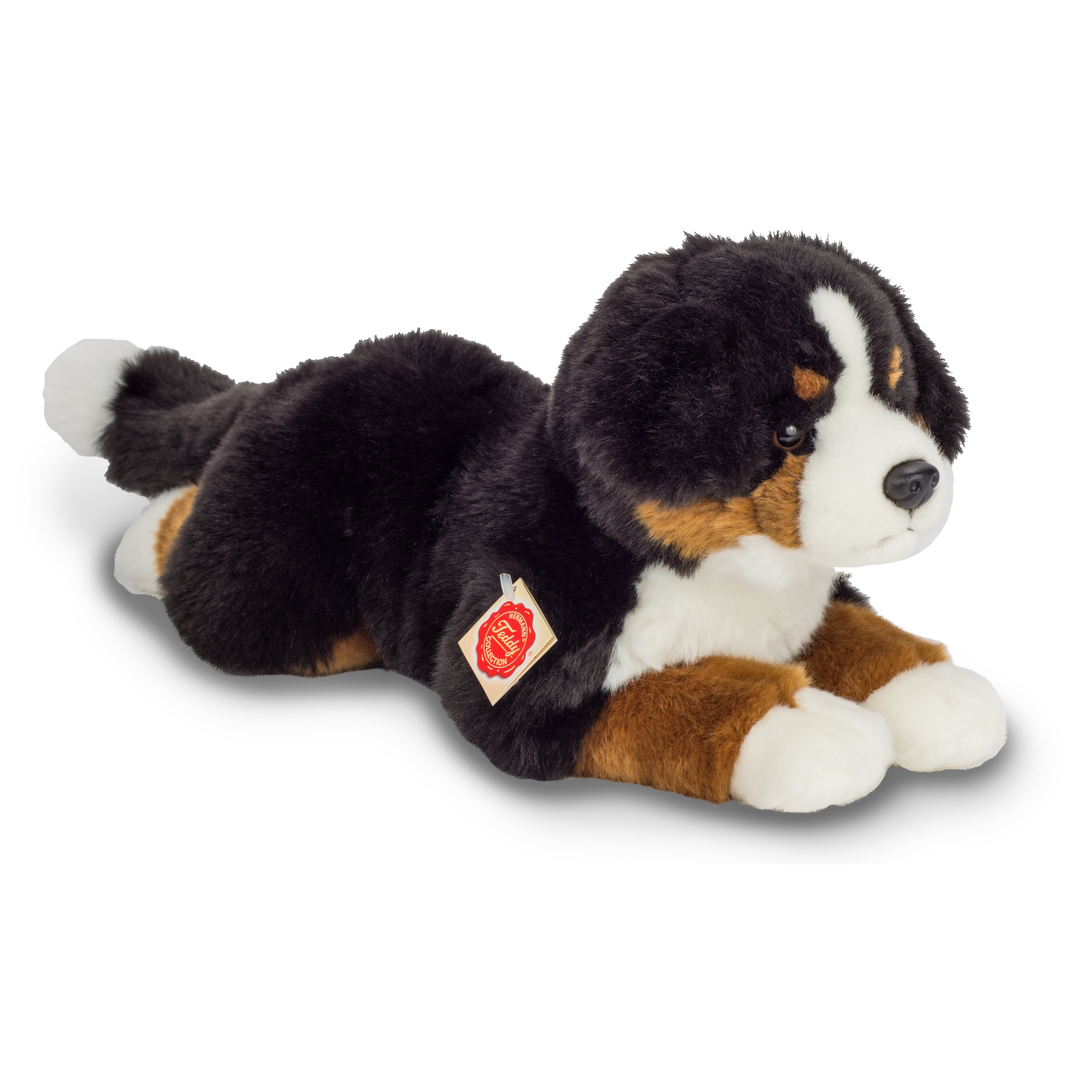 Berner Sennenhund liegend 40 cm