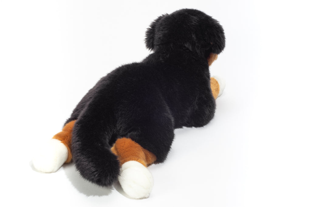 Berner Sennenhund liegend 40 cm