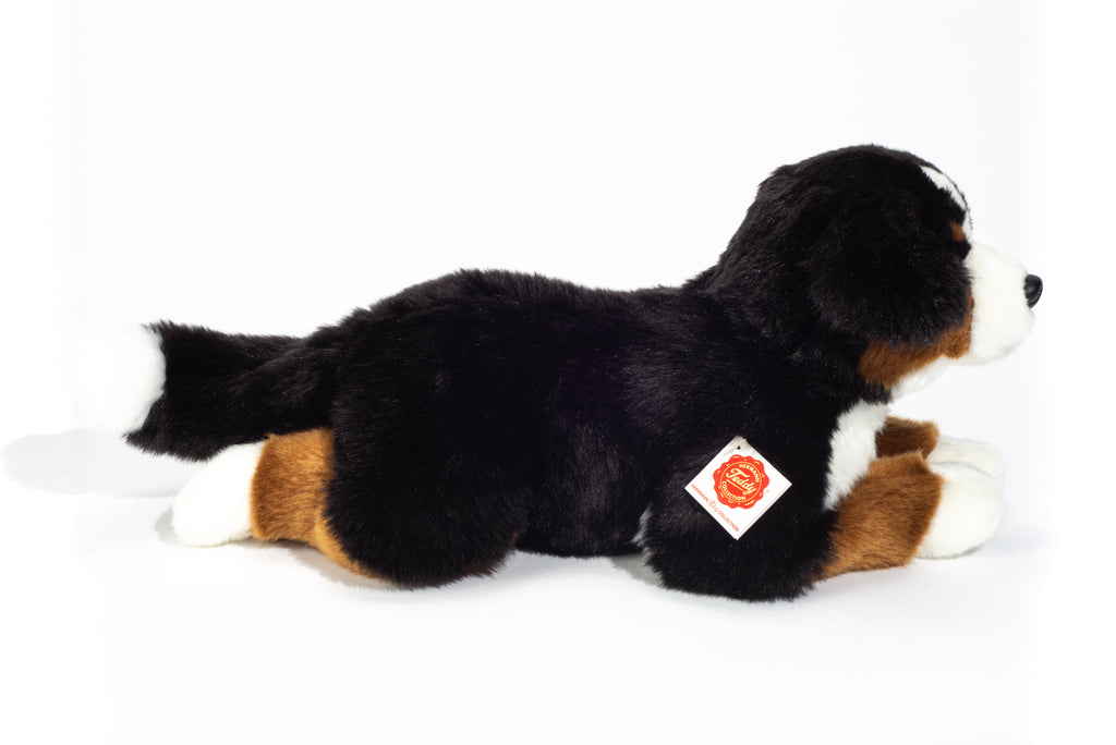 Berner Sennenhund liegend 40 cm