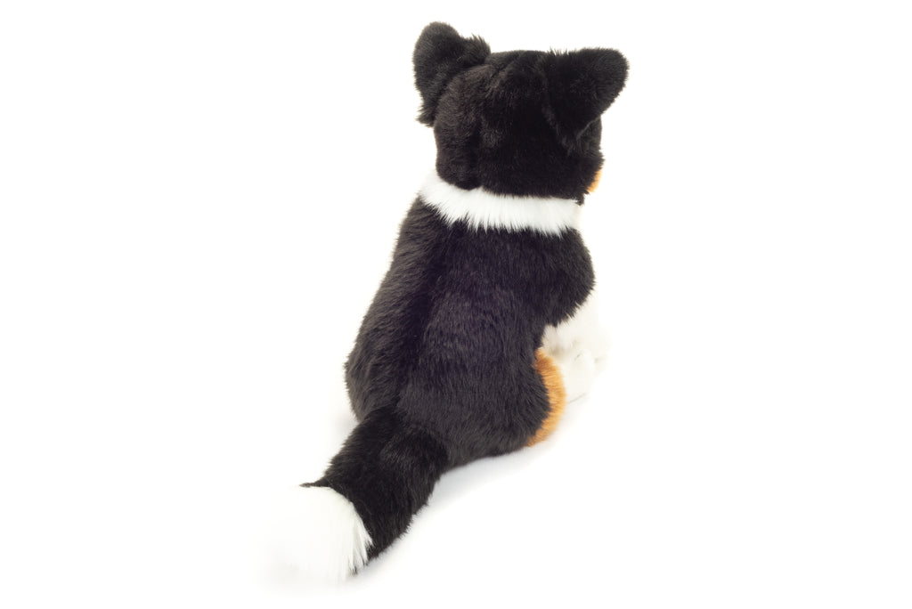 Tri-color Border Collie sitzend 30 cm