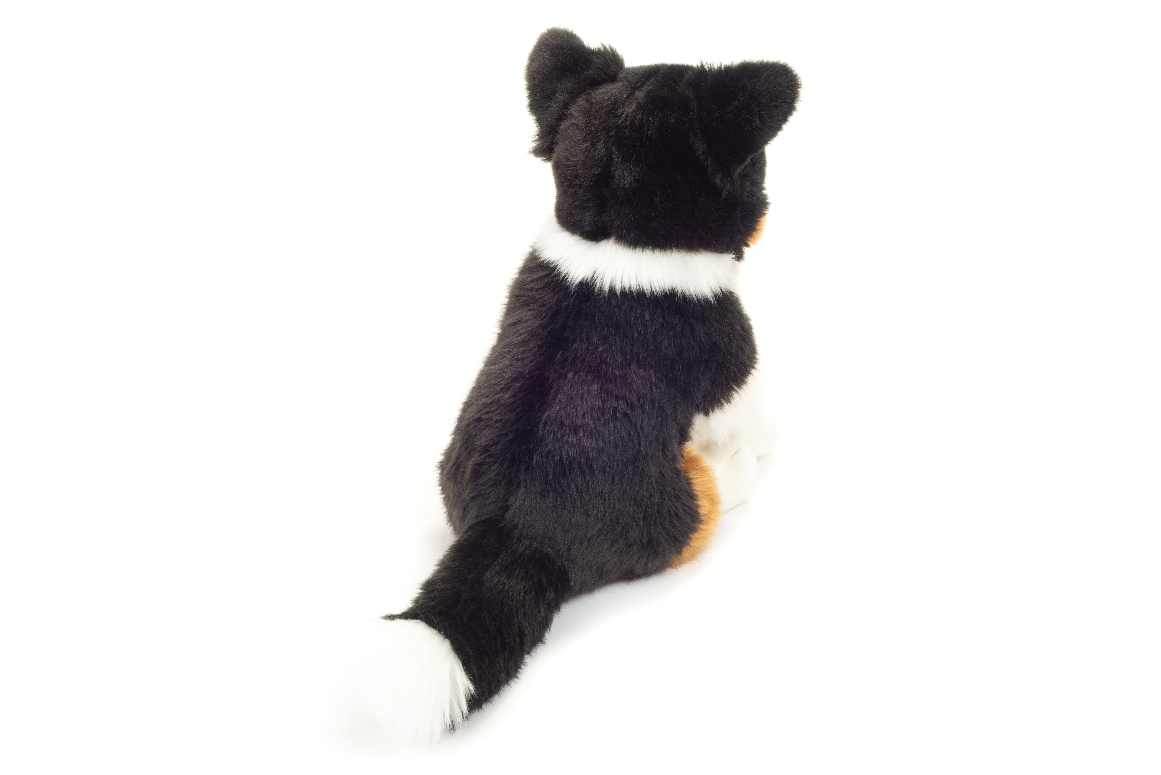 Tri-color Border Collie sitzend 30 cm