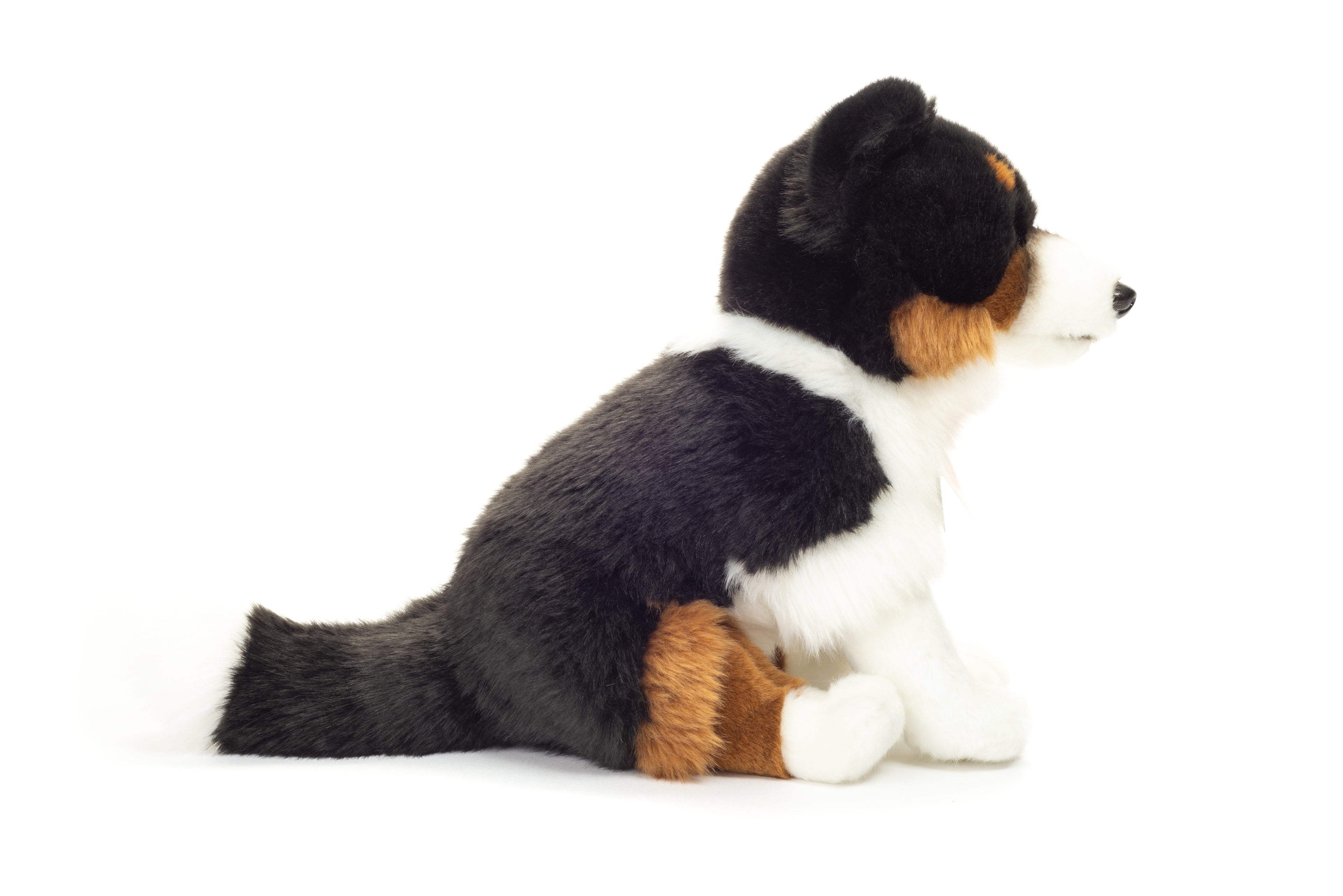 Tri-color Border Collie sitzend 30 cm