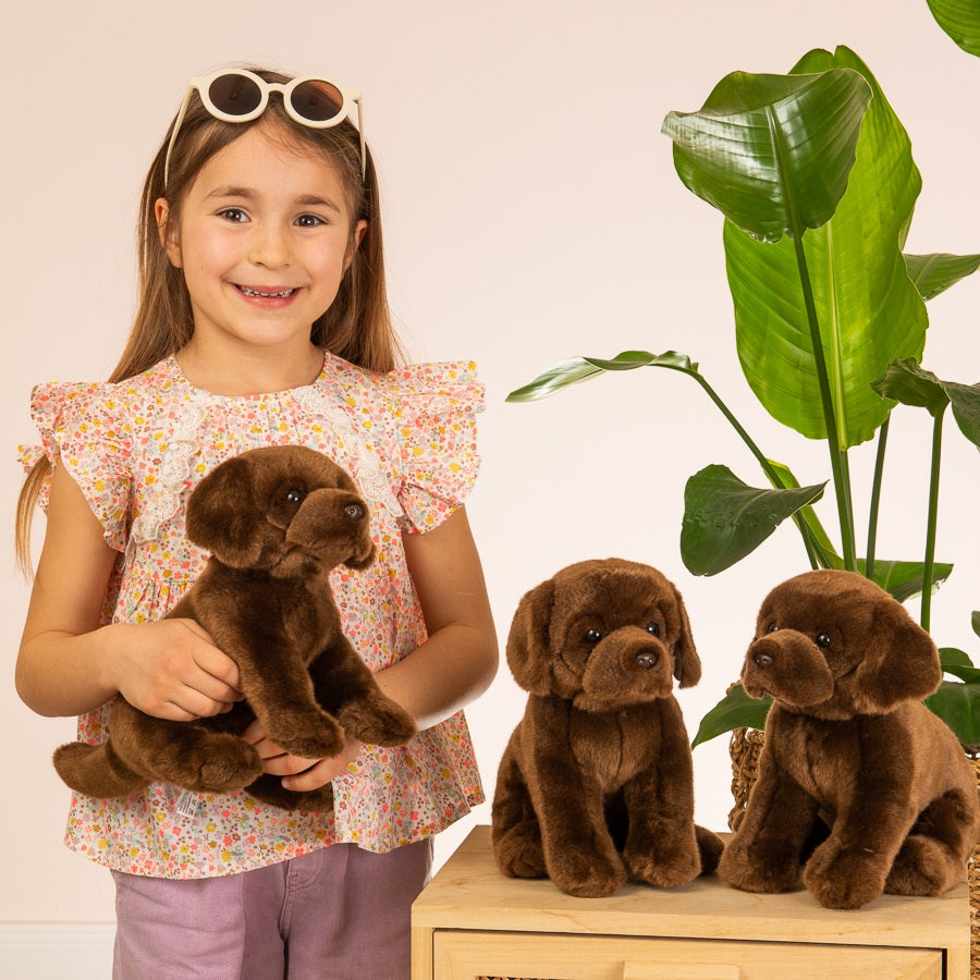 Labrador sitzend dunkelbraun 25 cm