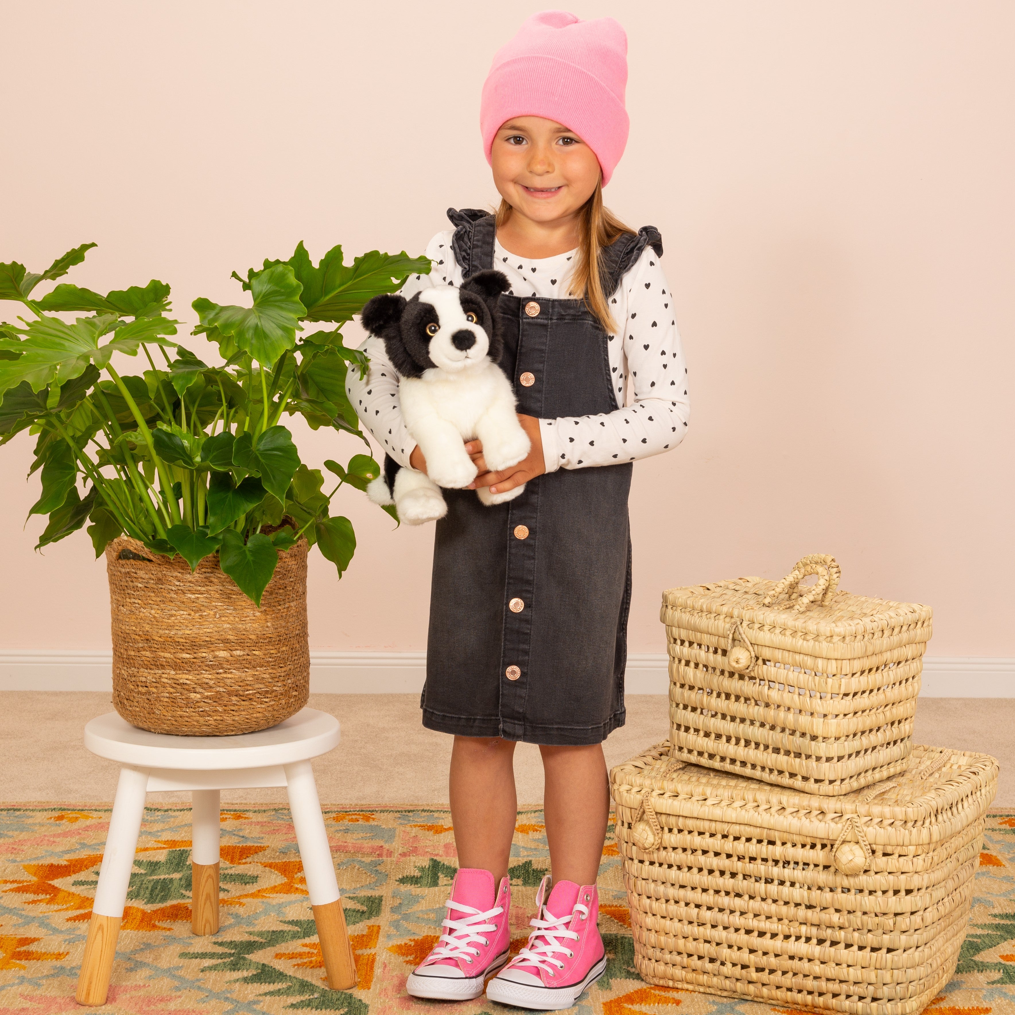 Border Collie Welpe sitzend 25 cm