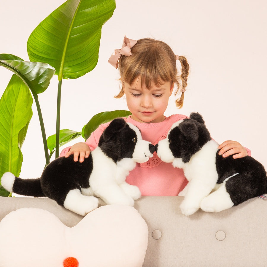 Border Collie Welpe sitzend 25 cm