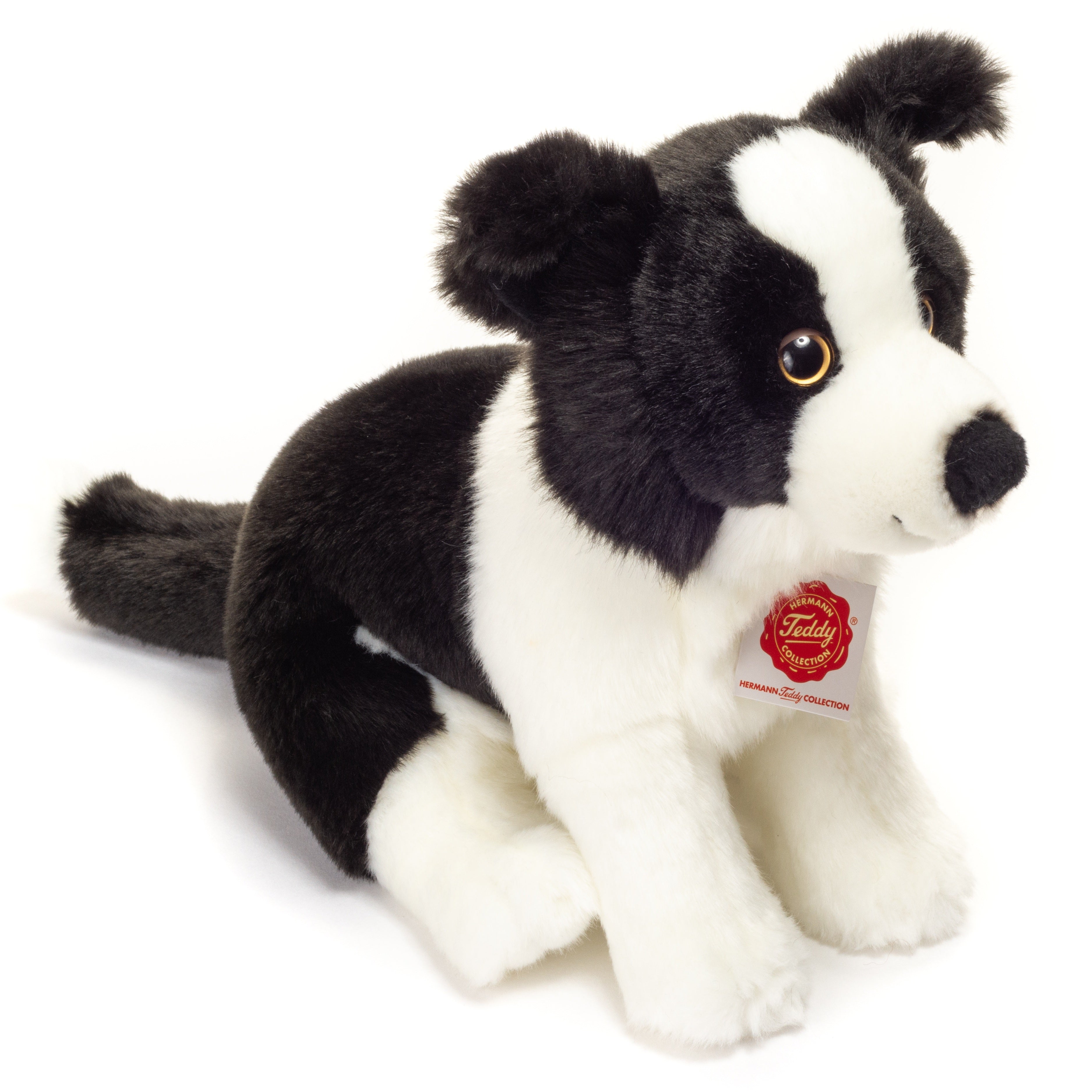 Border Collie Welpe sitzend 25 cm