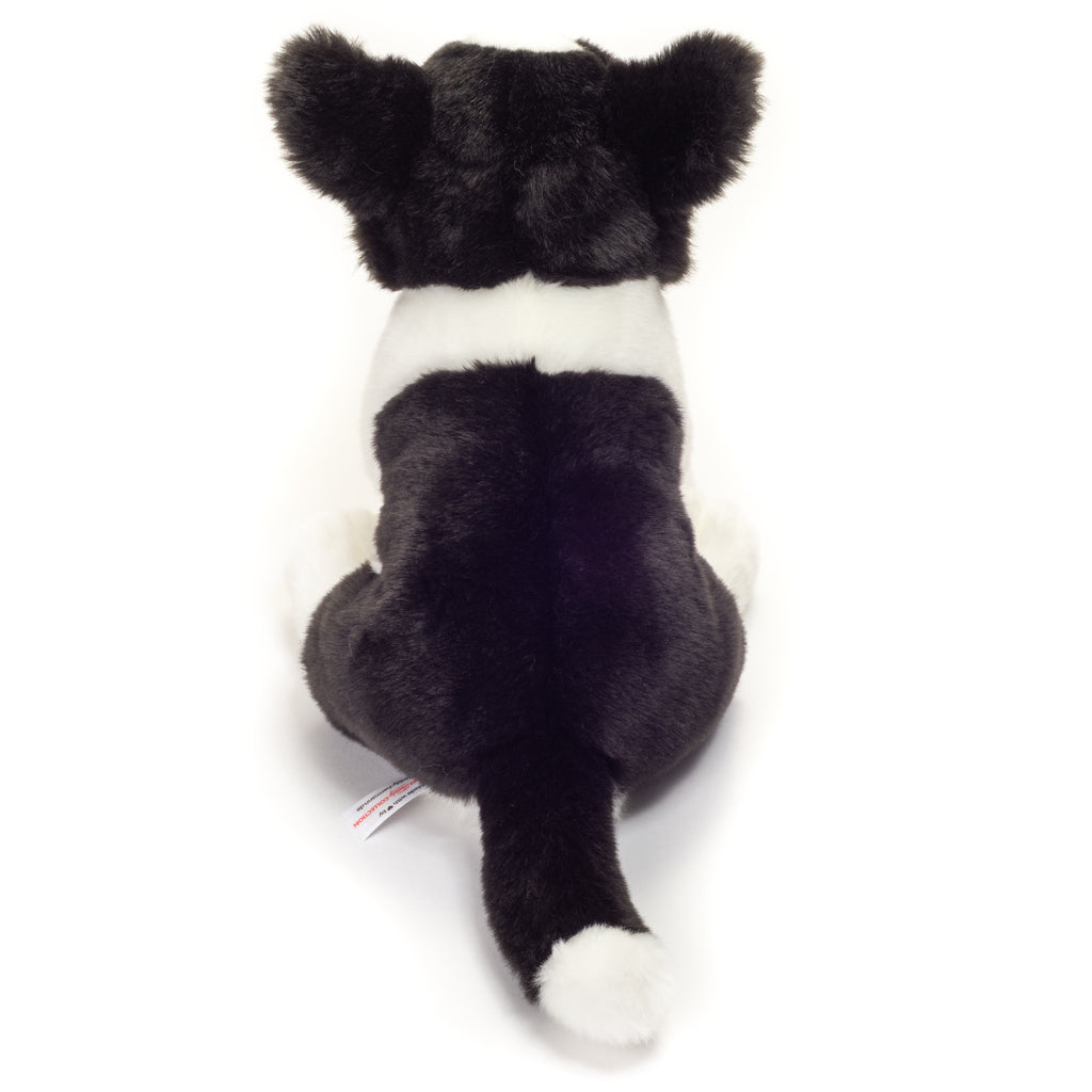 Border Collie Welpe sitzend 25 cm