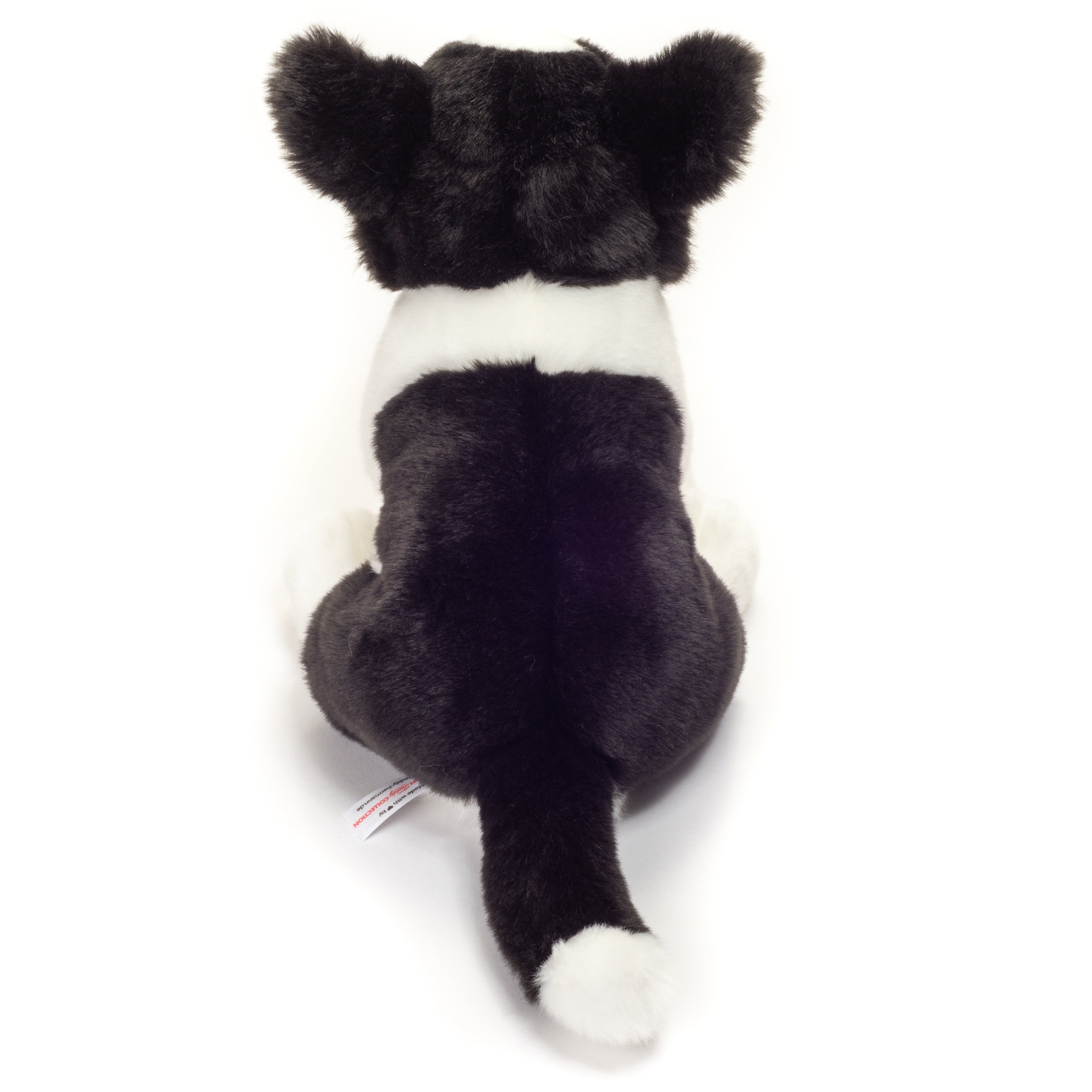 Border Collie Welpe sitzend 25 cm