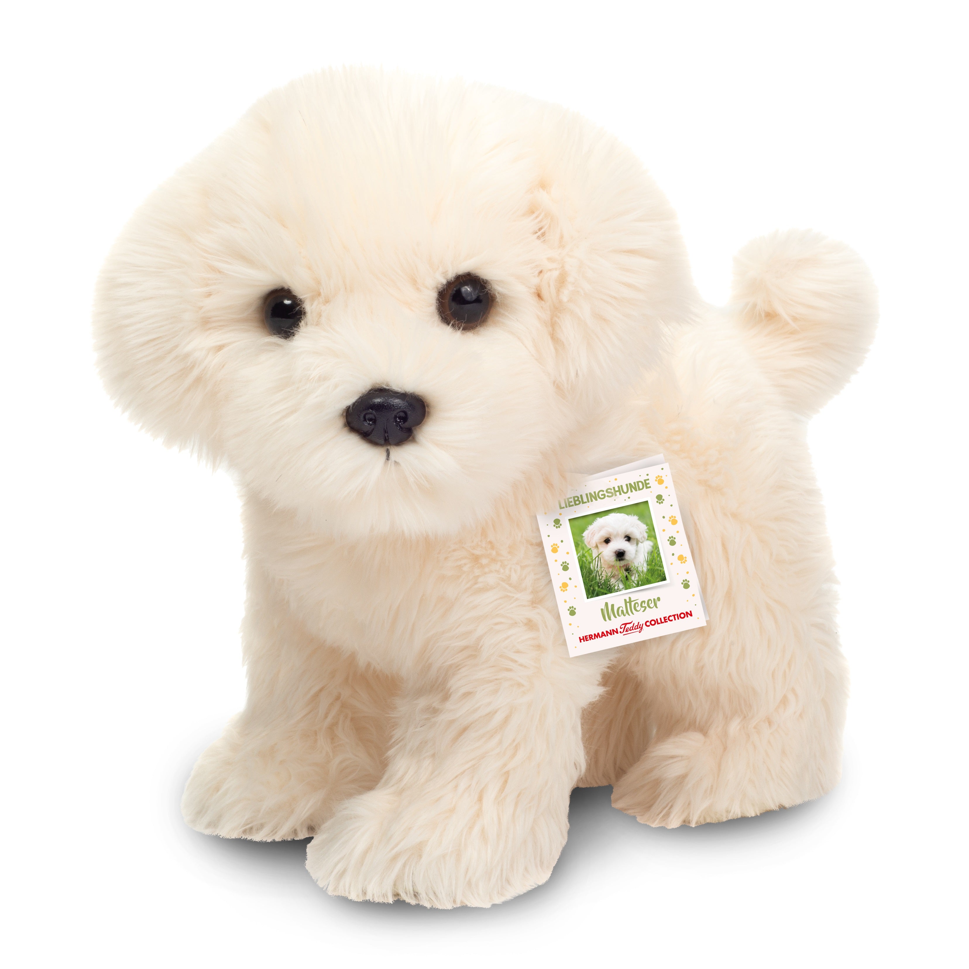 Malteser stehend 23 cm