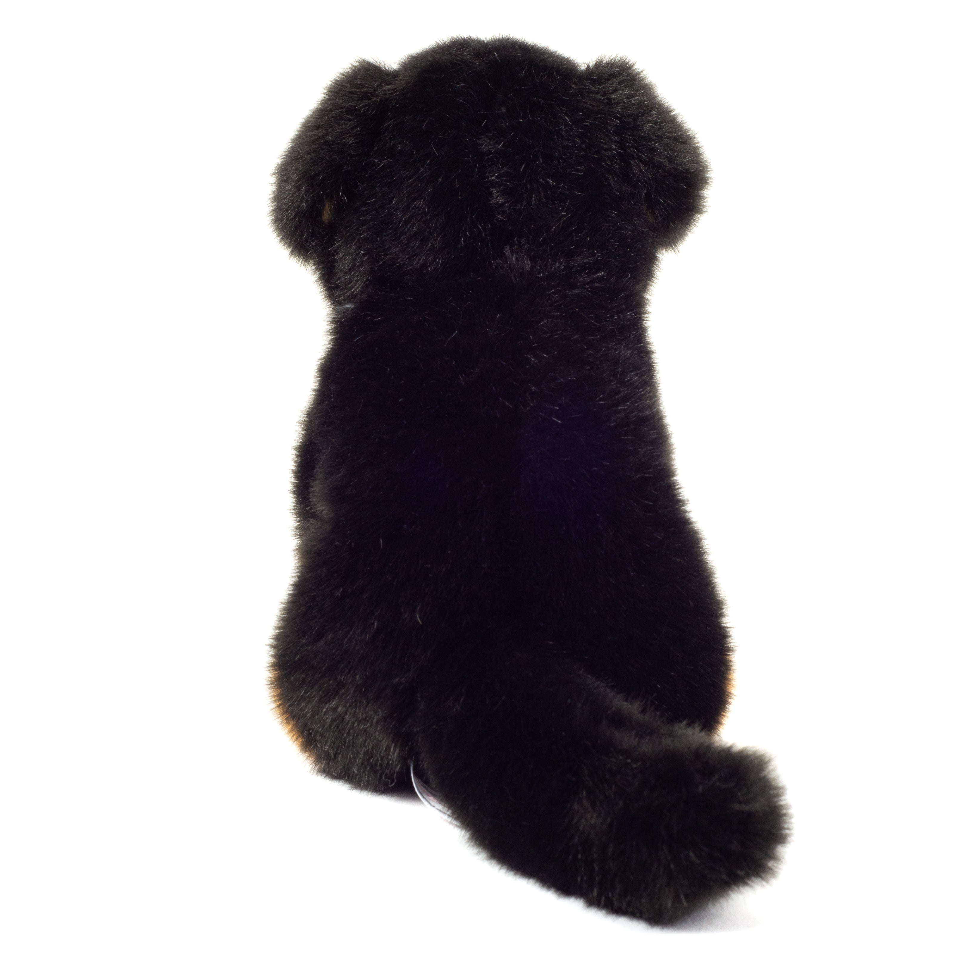 Berner Sennenhund sitzend 21 cm