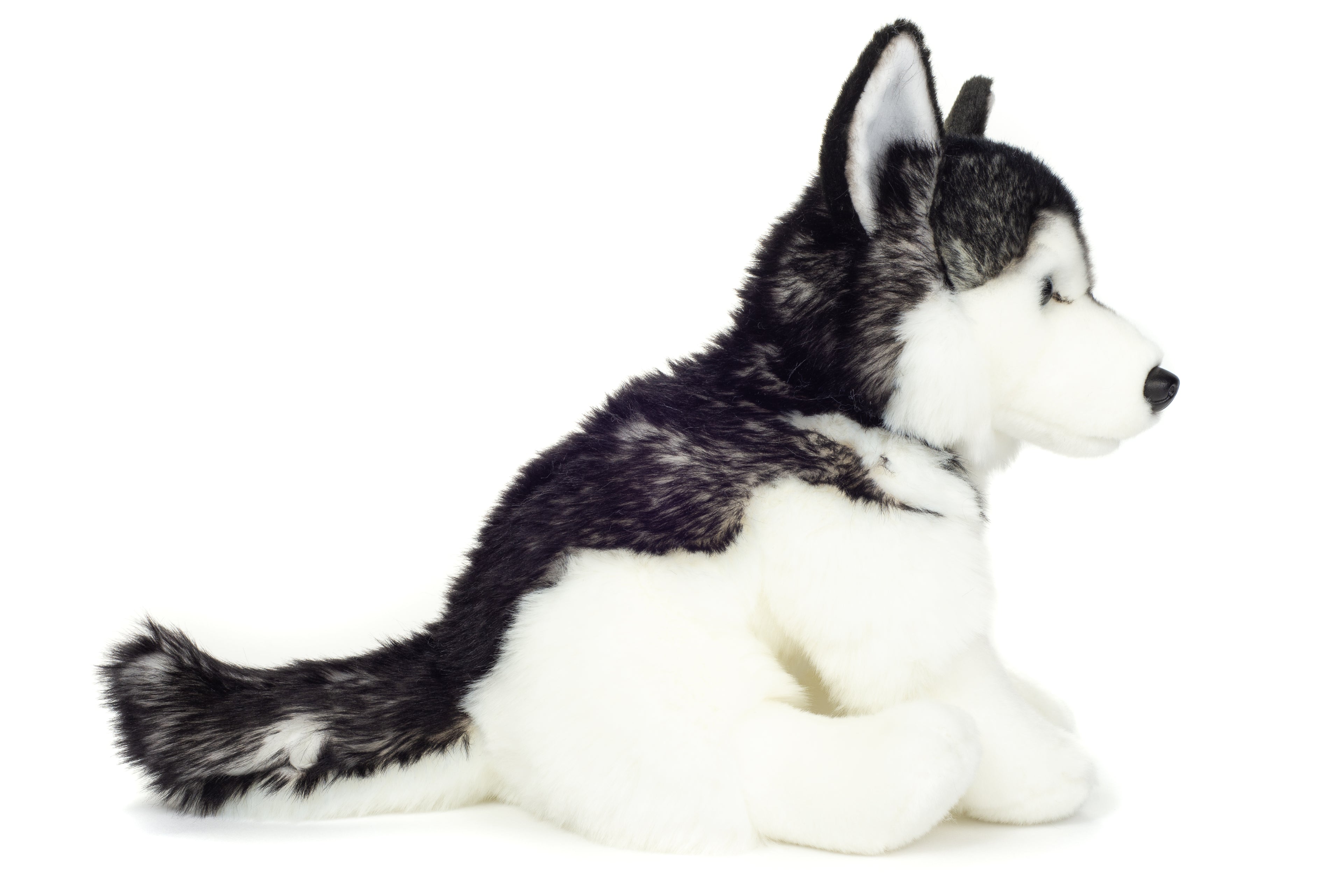 Husky sitzend 30 cm
