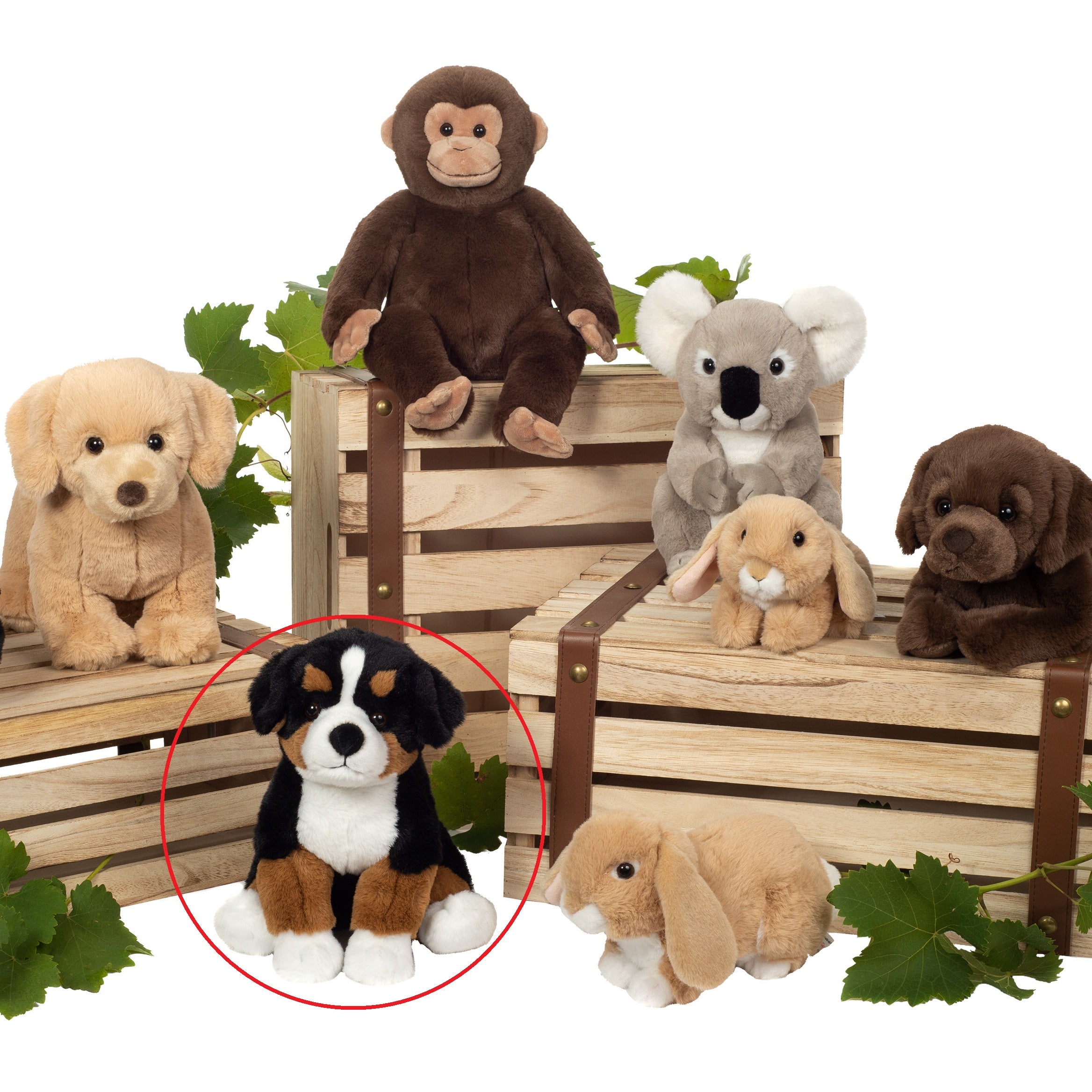 Berner Sennenhund sitzend 26 cm