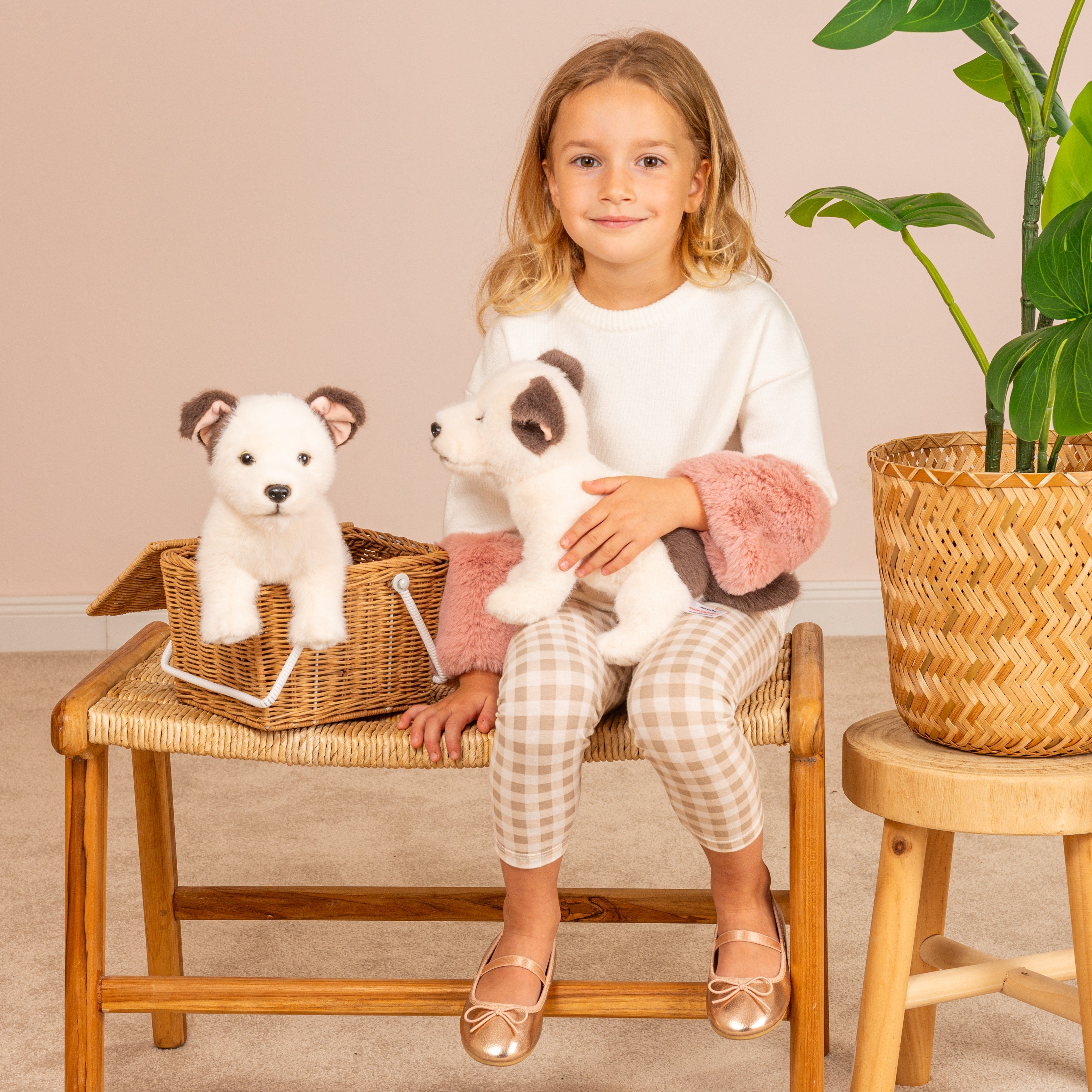 Hundewelpe Russell 25 cm