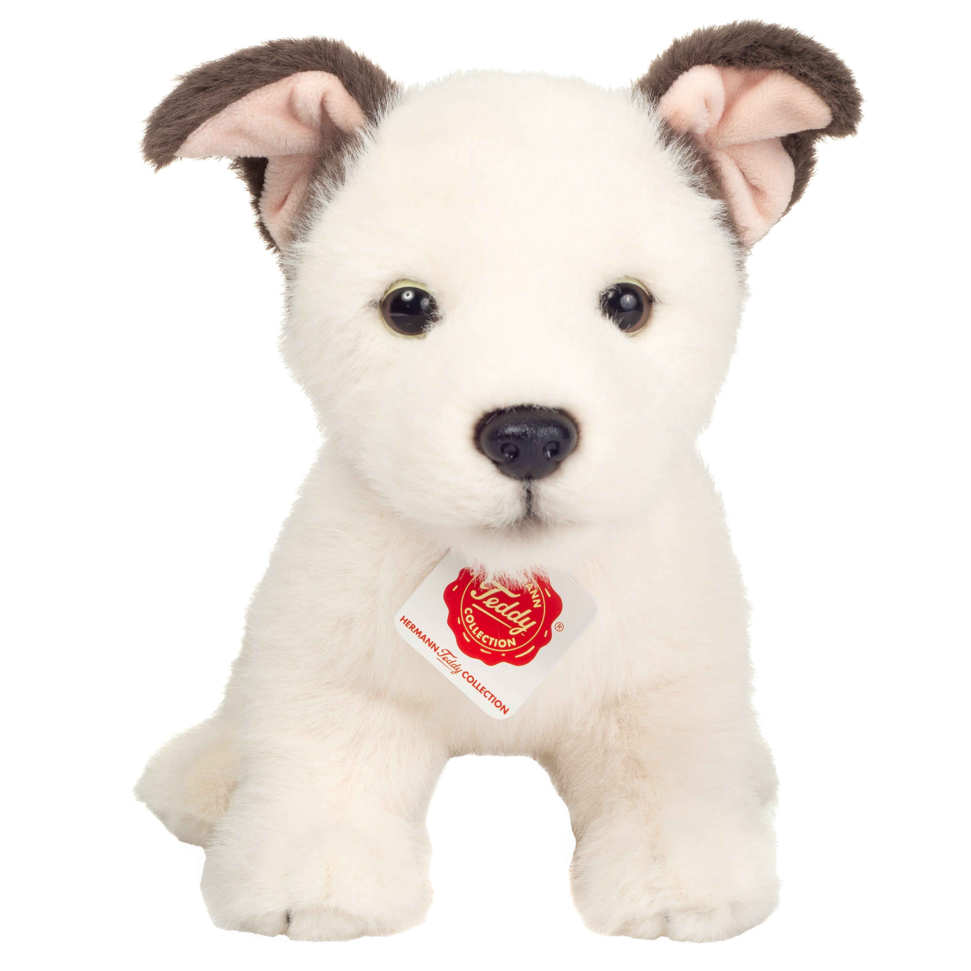 Hundewelpe Russell 25 cm