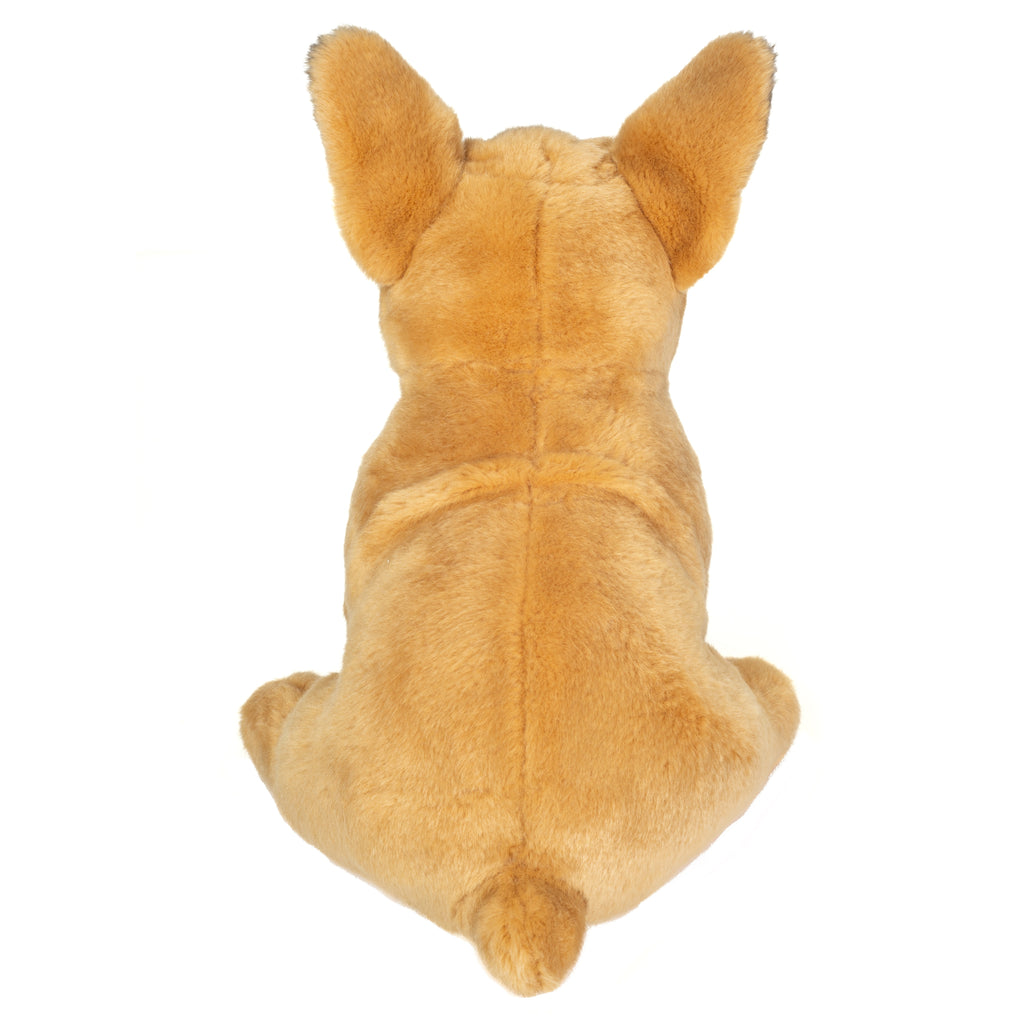 Französische Bulldogge 27 cm