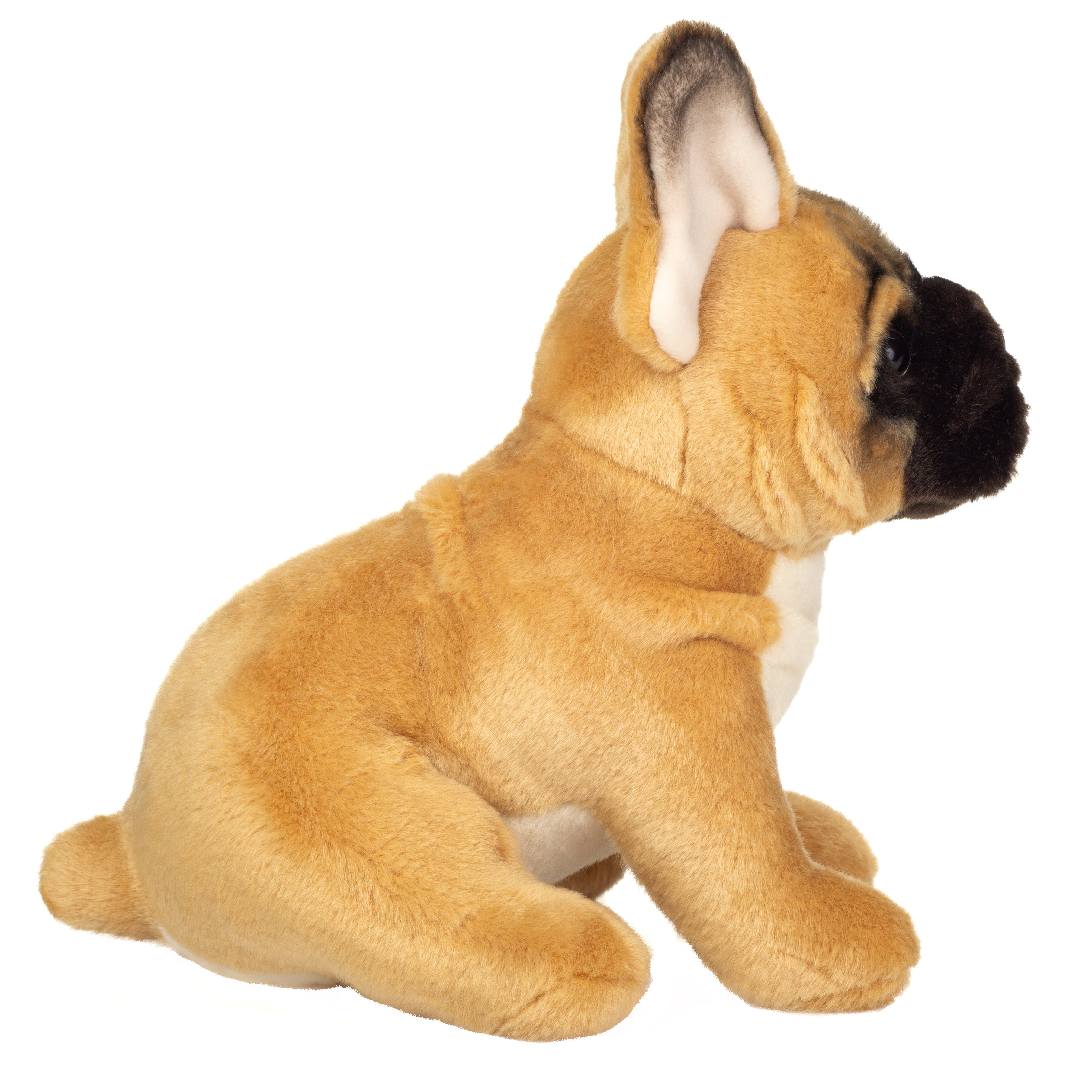 Französische Bulldogge 27 cm