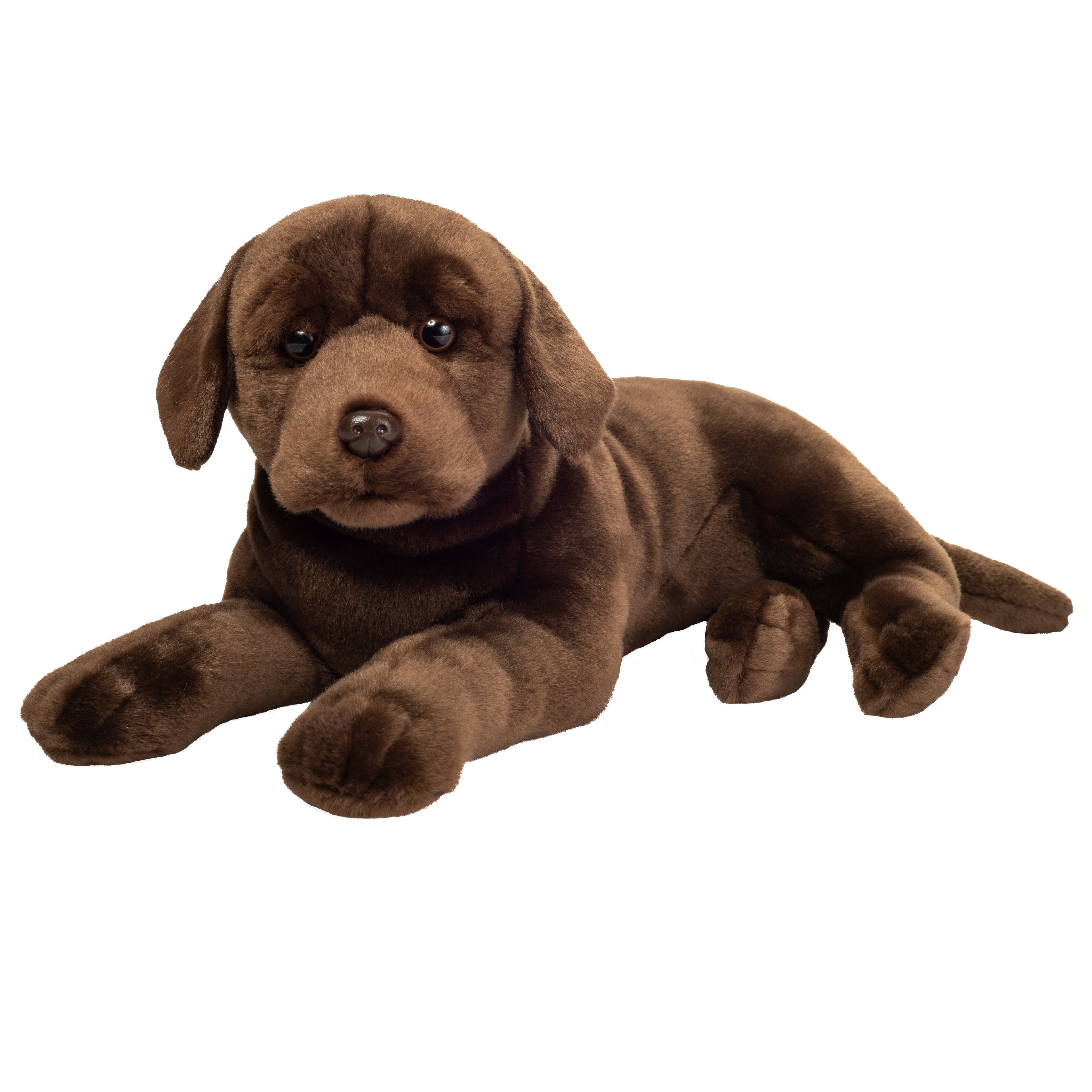 Labrador schokobraun 50 cm