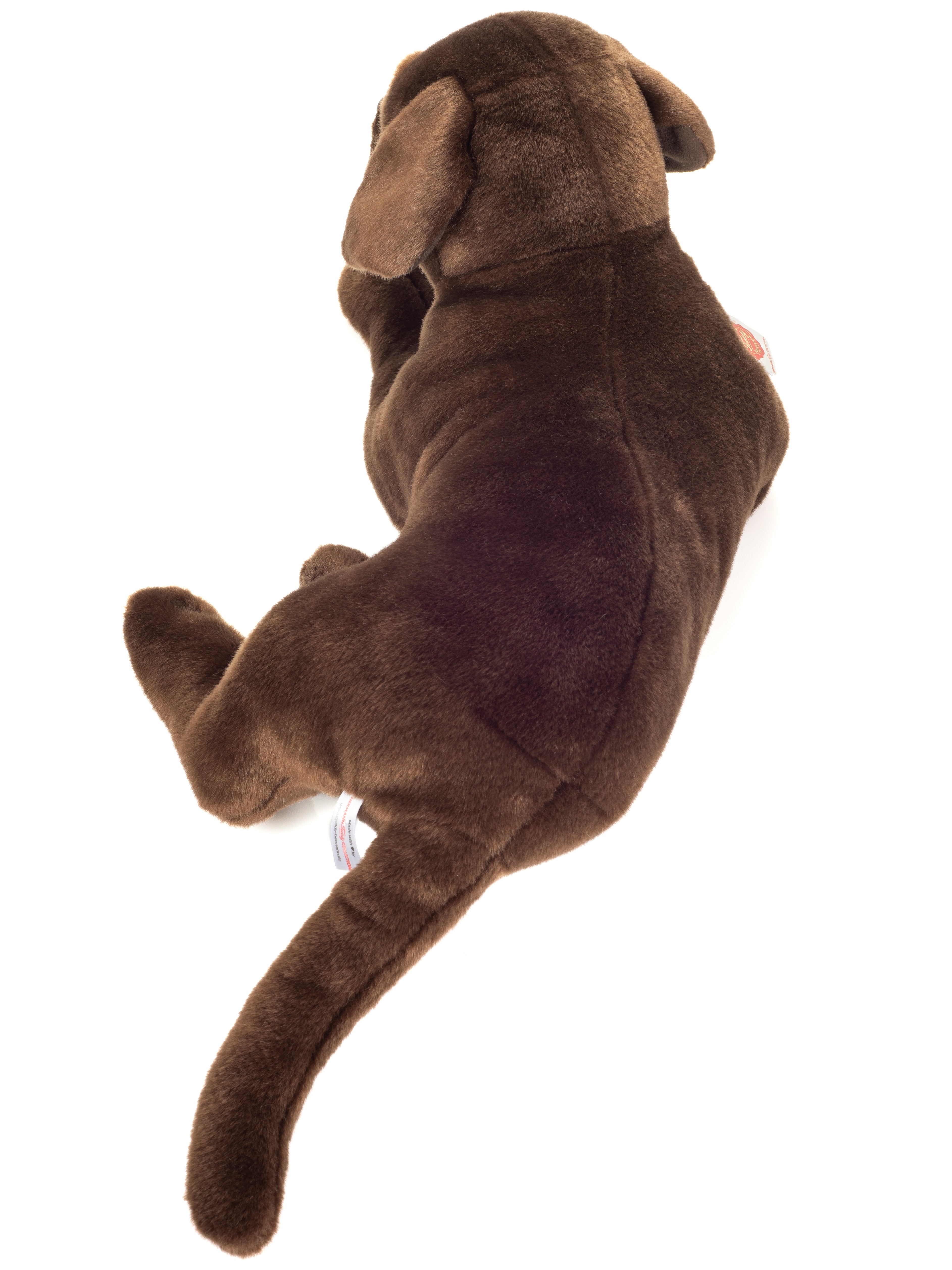 Labrador schokobraun 50 cm