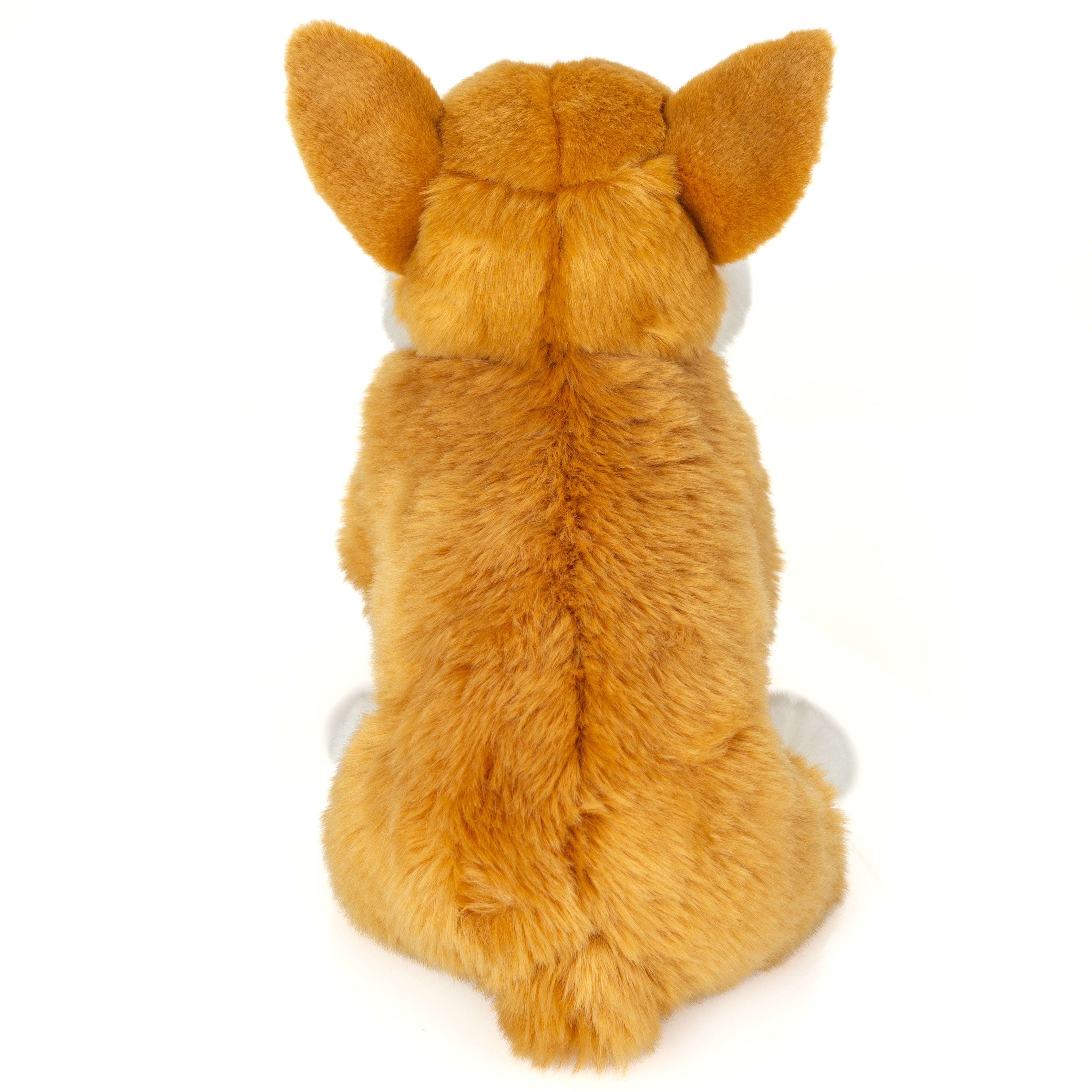Corgi 30 cm