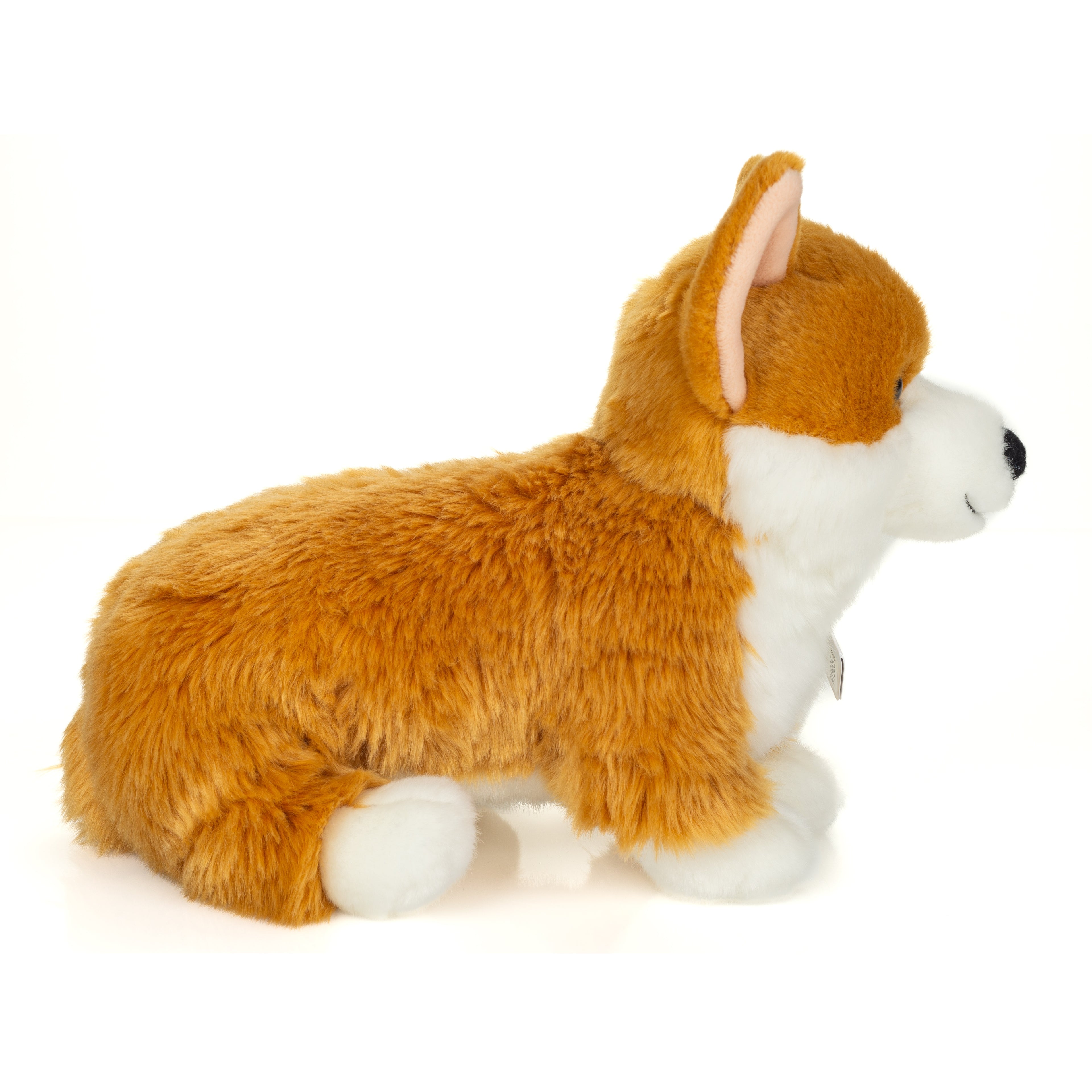 Corgi 30 cm