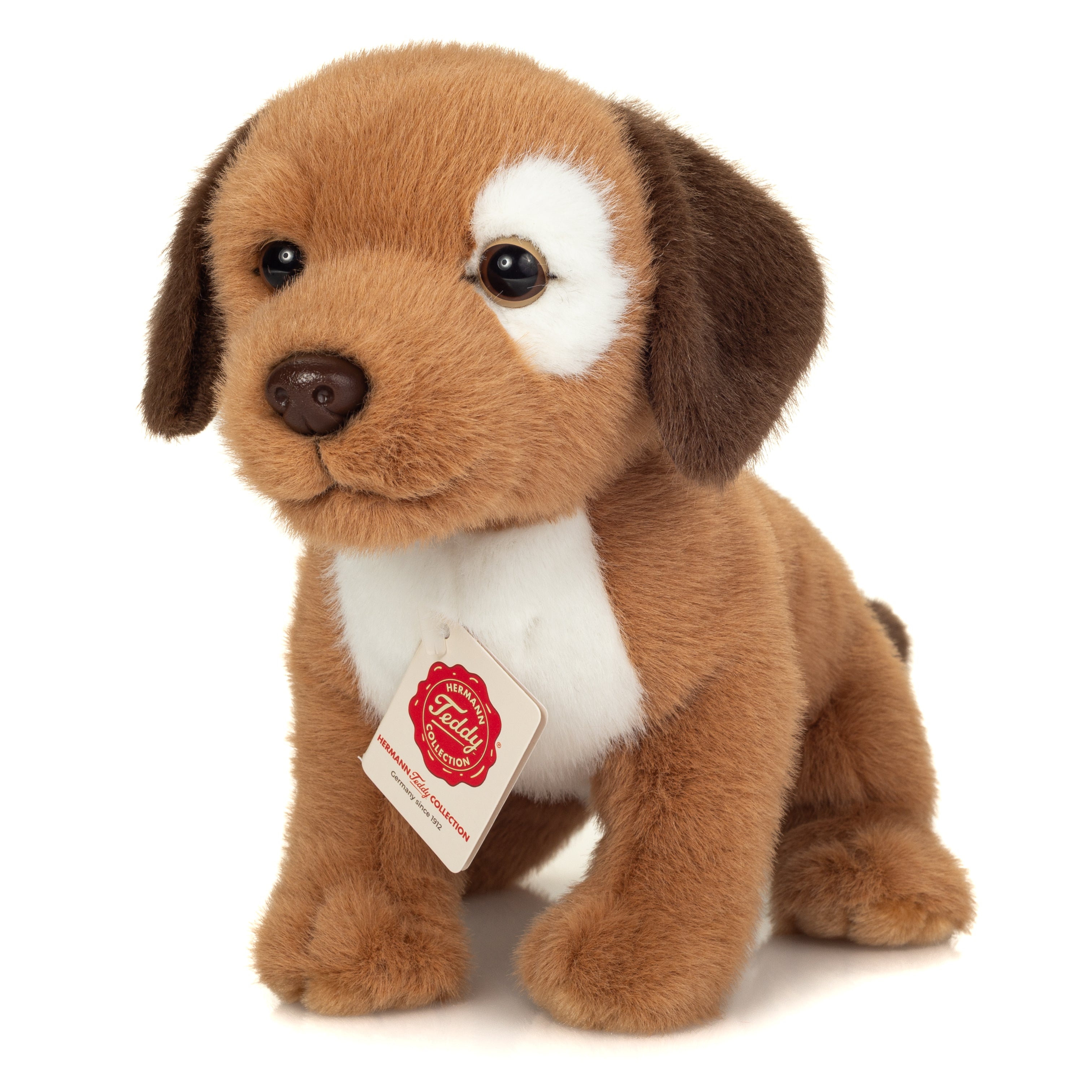 Hundewelpe Milow 25 cm