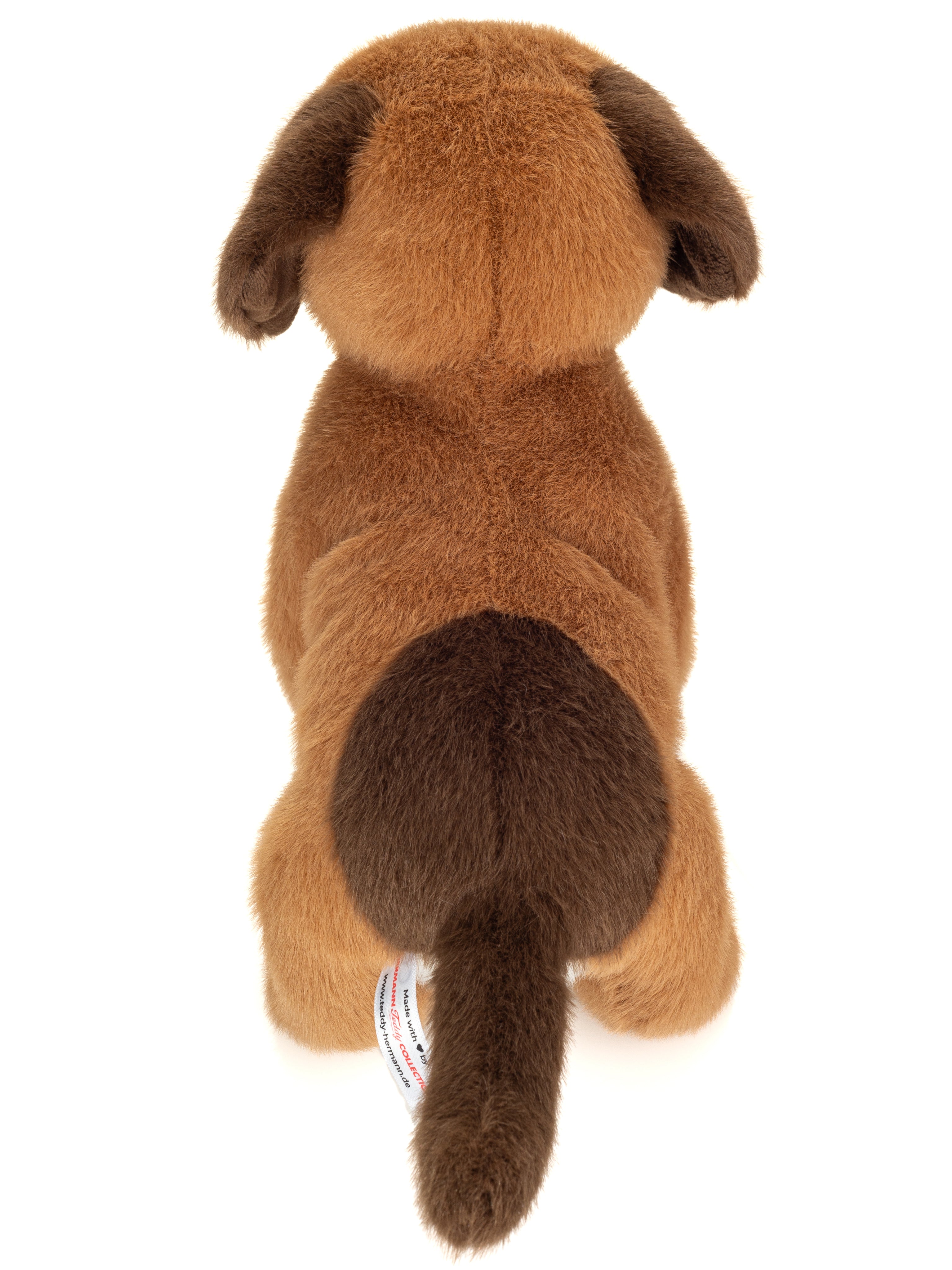 Hundewelpe Milow 25 cm