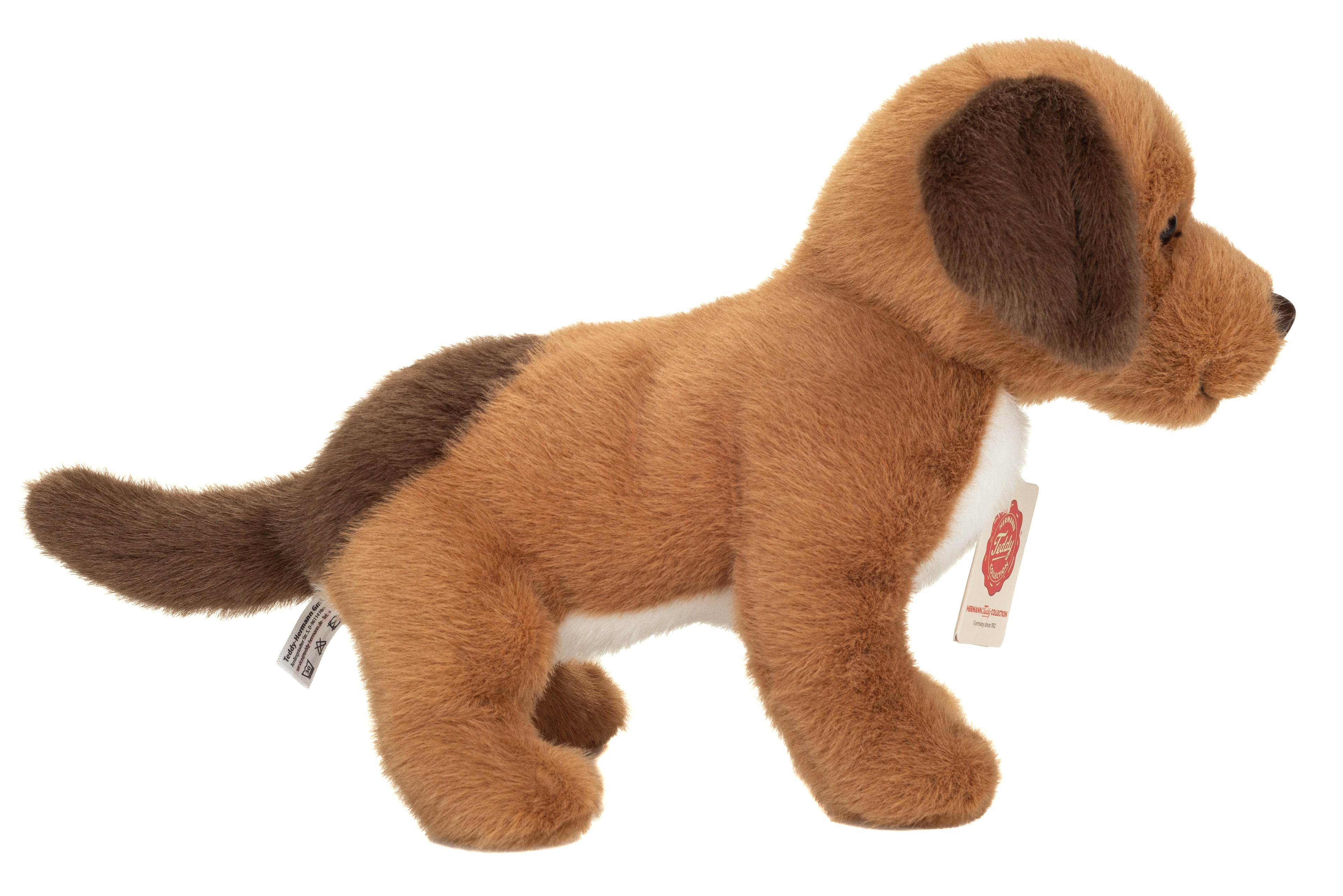 Hundewelpe Milow 25 cm