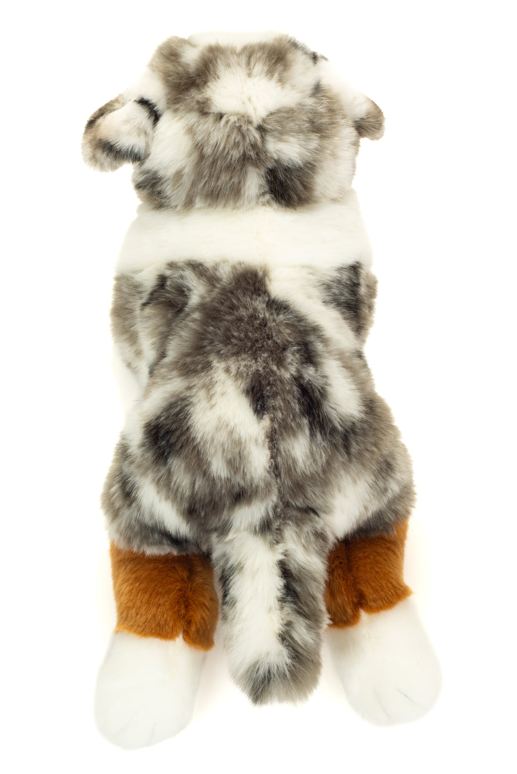 Australian Shepherd liegend 40 cm
