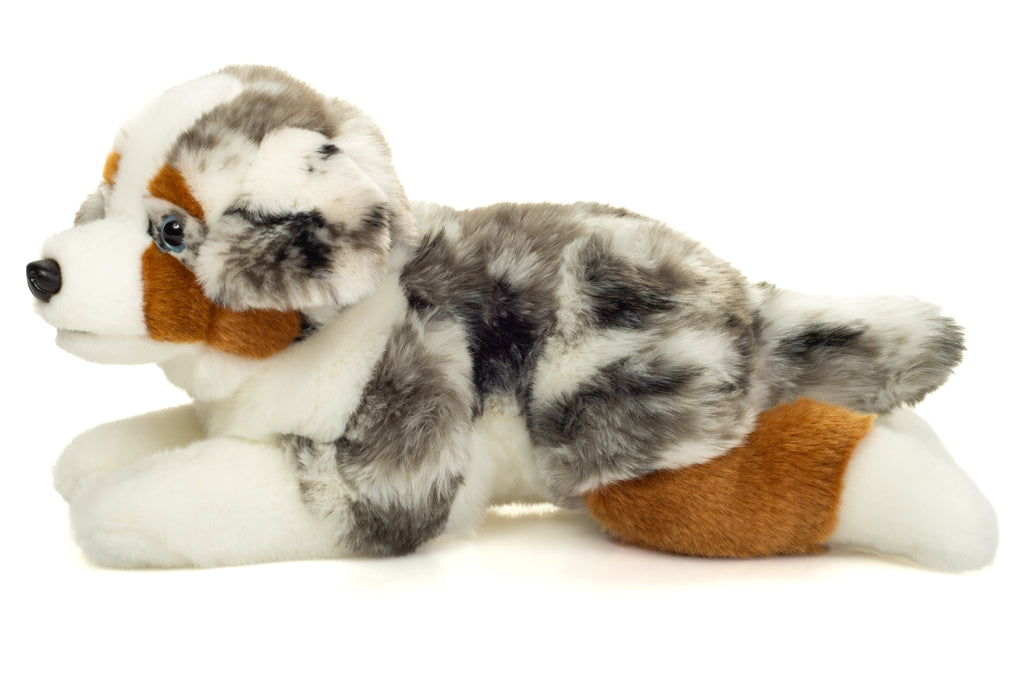 Australian Shepherd liegend 40 cm