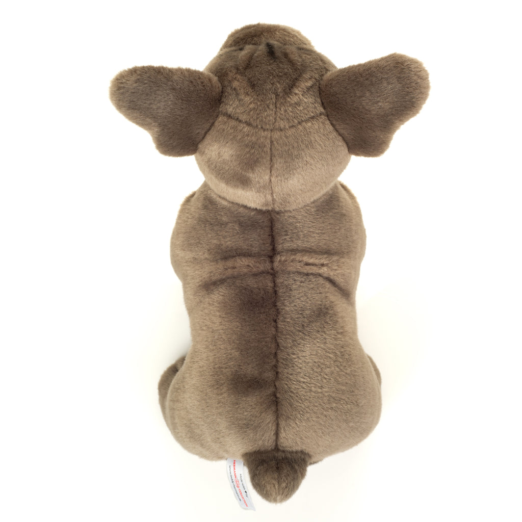 Französische Bulldogge stehend grau 30 cm