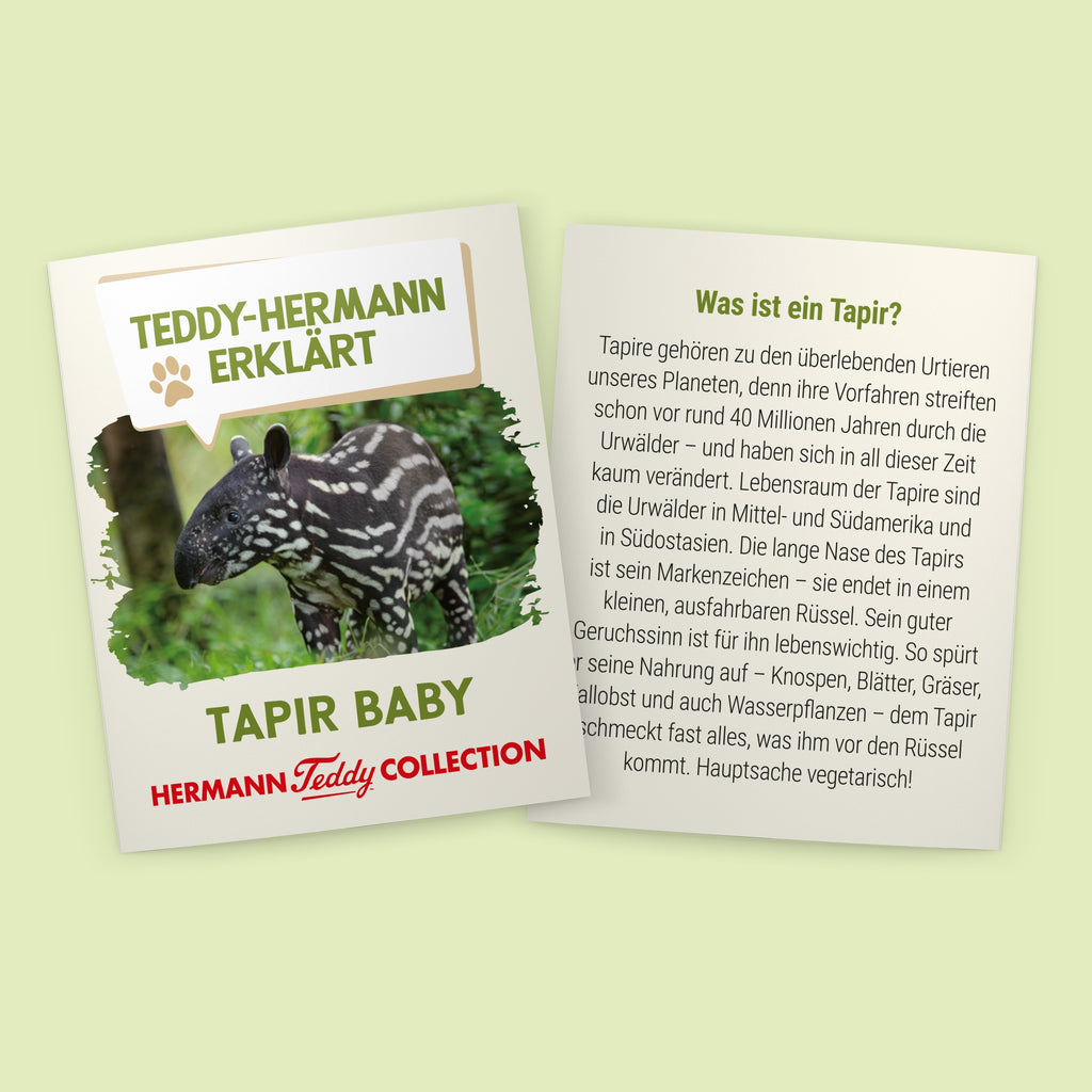 Tapir Baby 24 cm