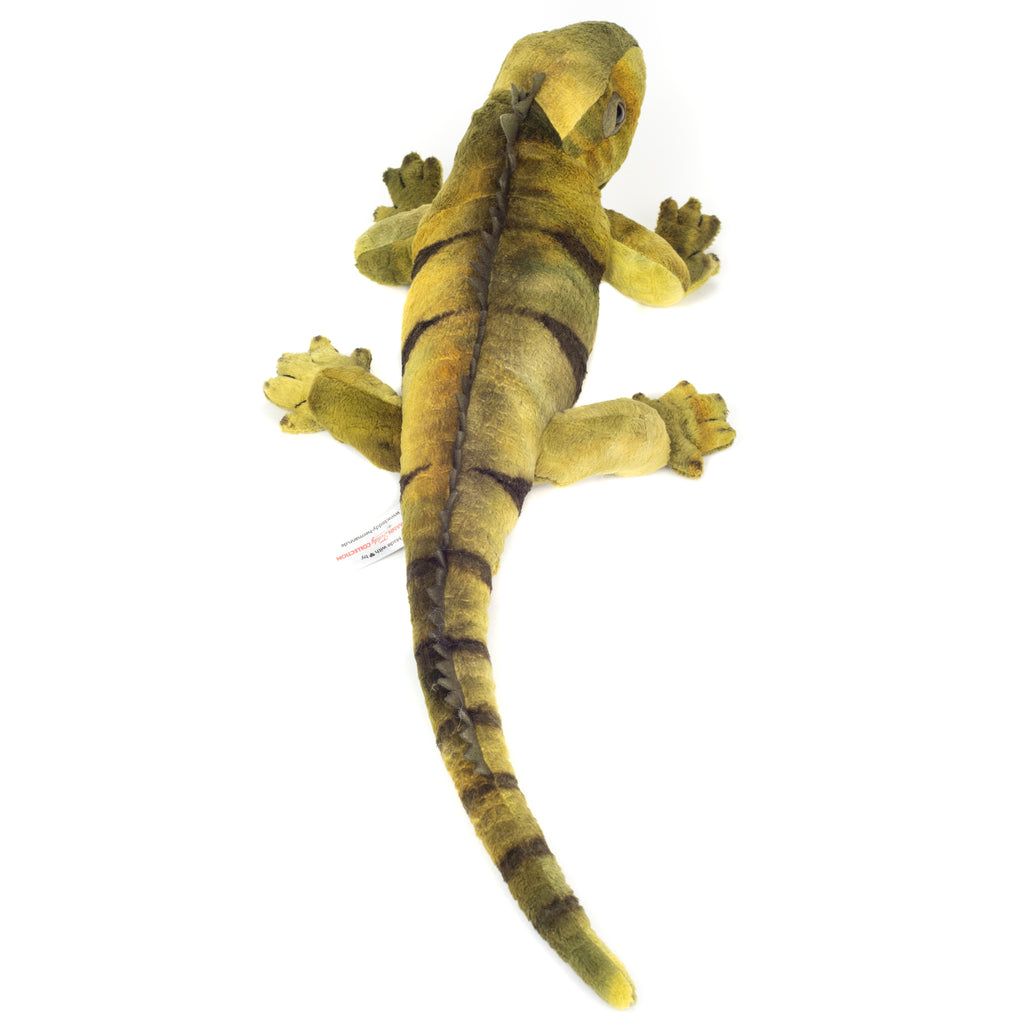 Leguan 49 cm