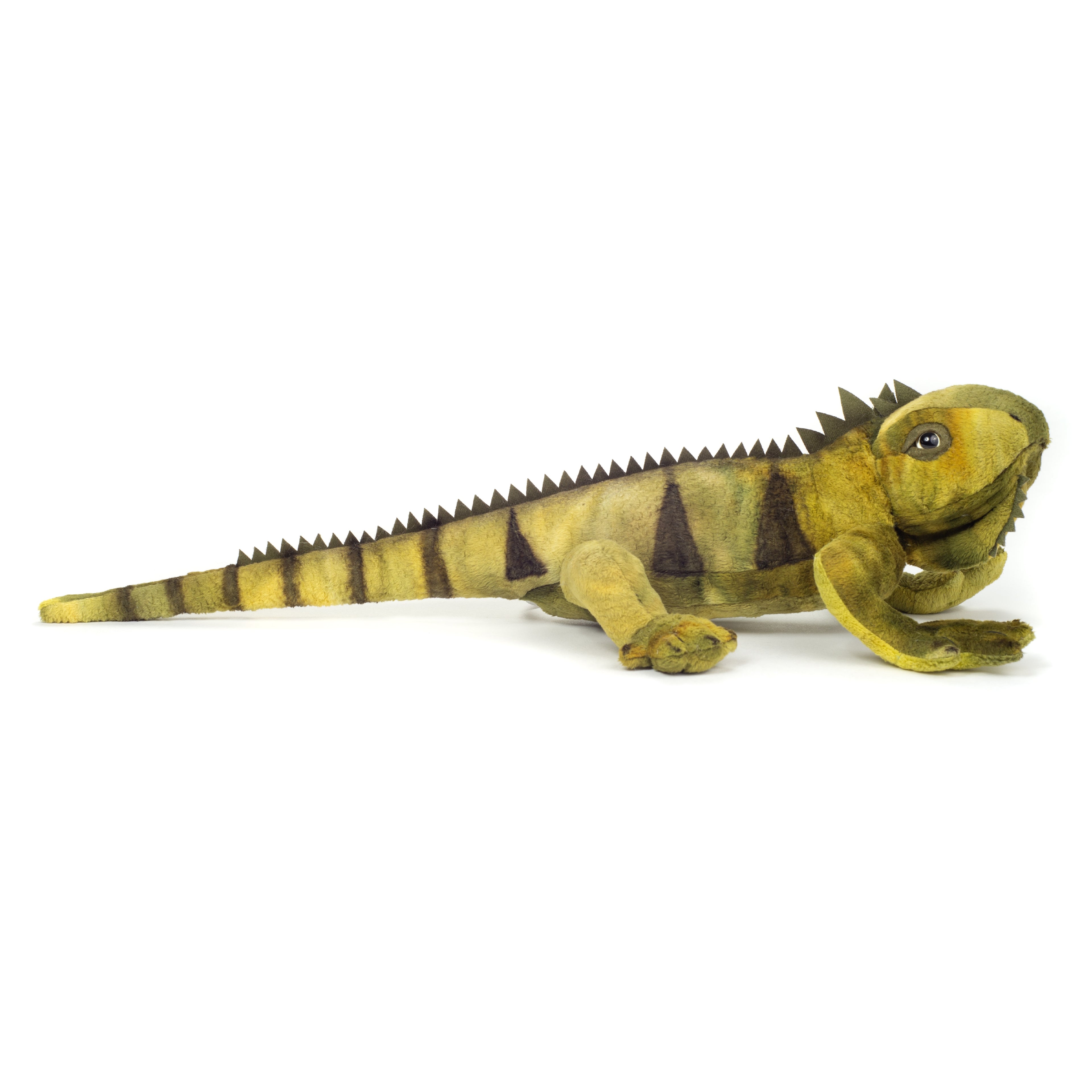 Leguan 49 cm