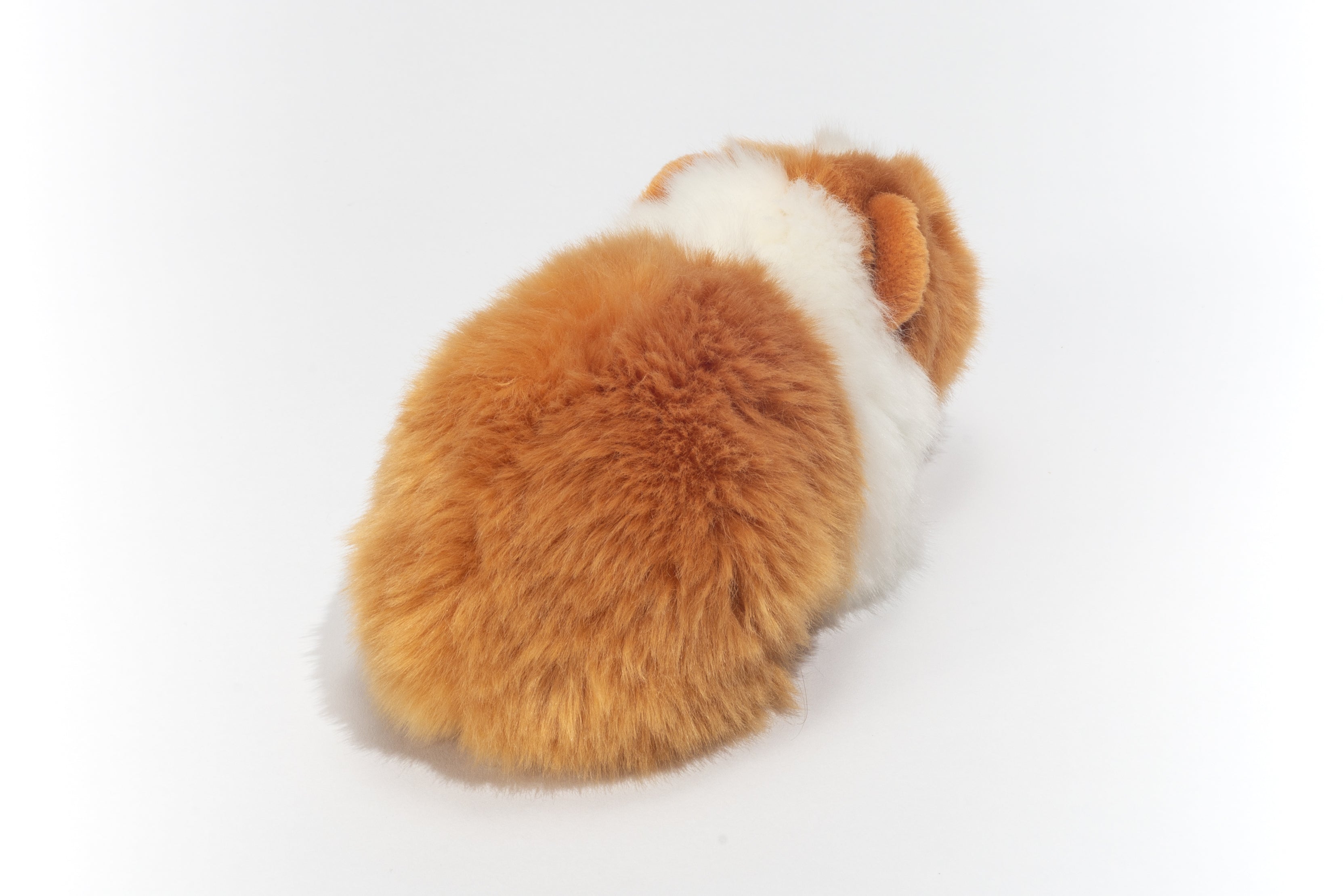 Meerschweinchen gold/weiß 20 cm