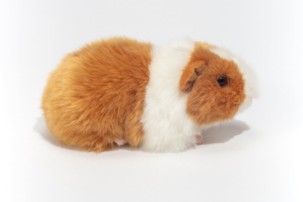 Meerschweinchen gold/weiß 20 cm